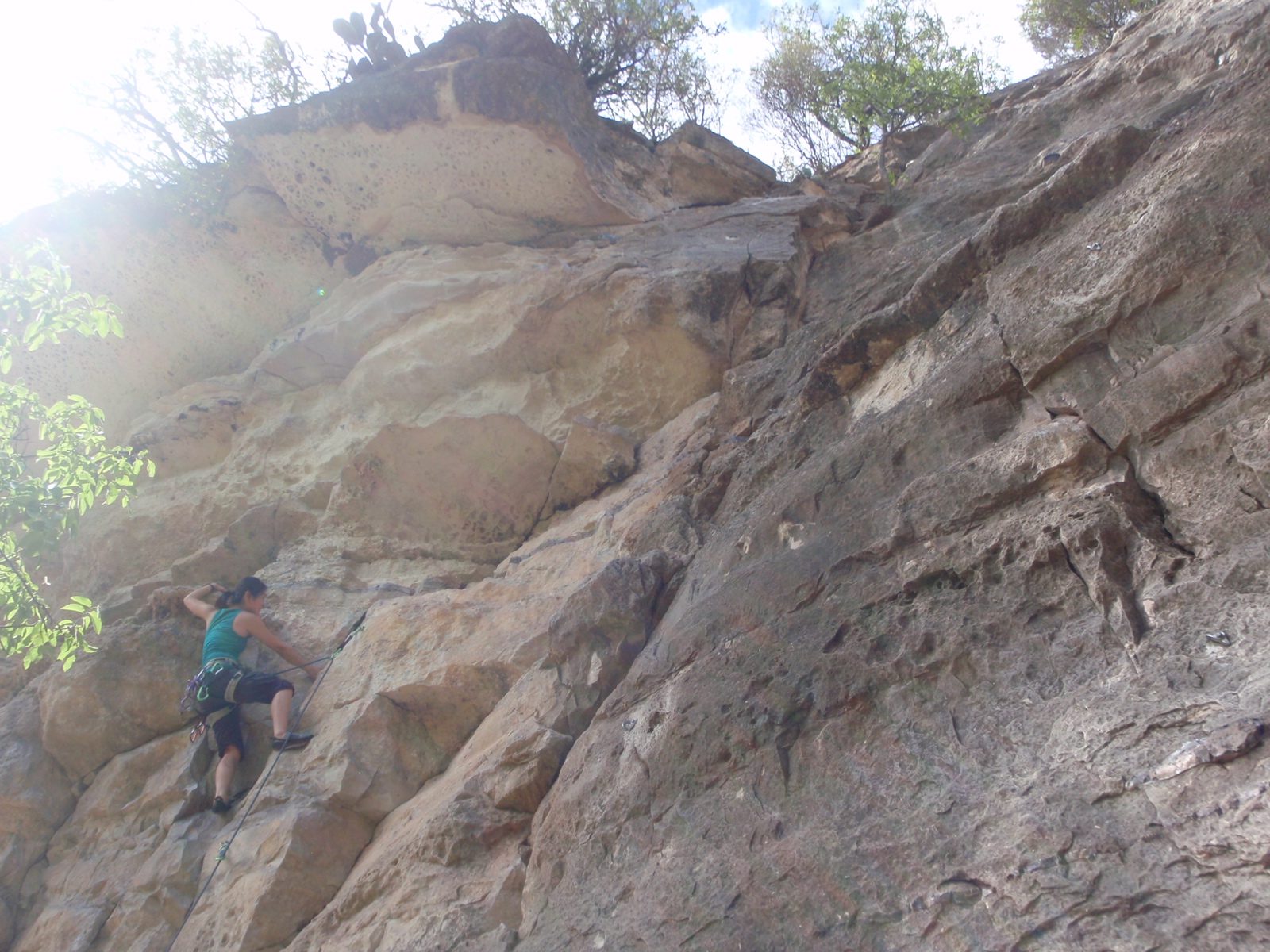 Monica climbing on lead in the Barton Springs Greenbelt.