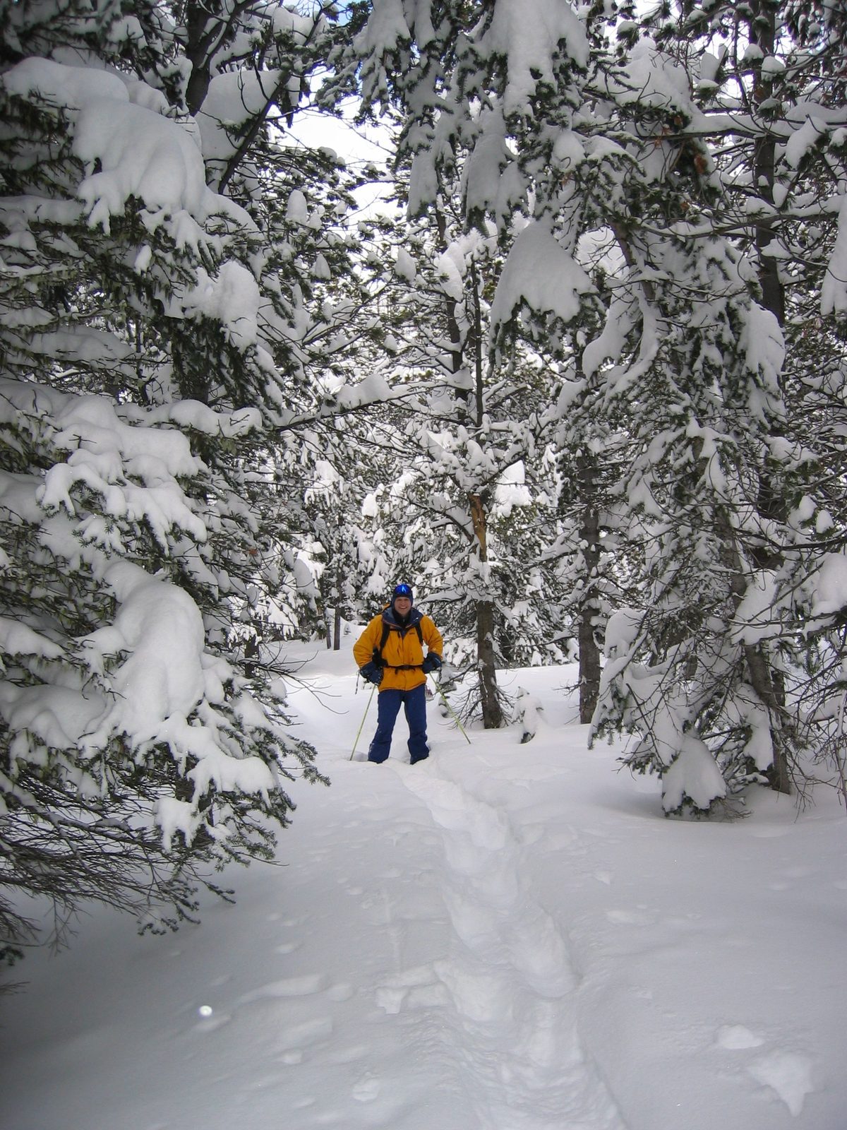 John in the woods.