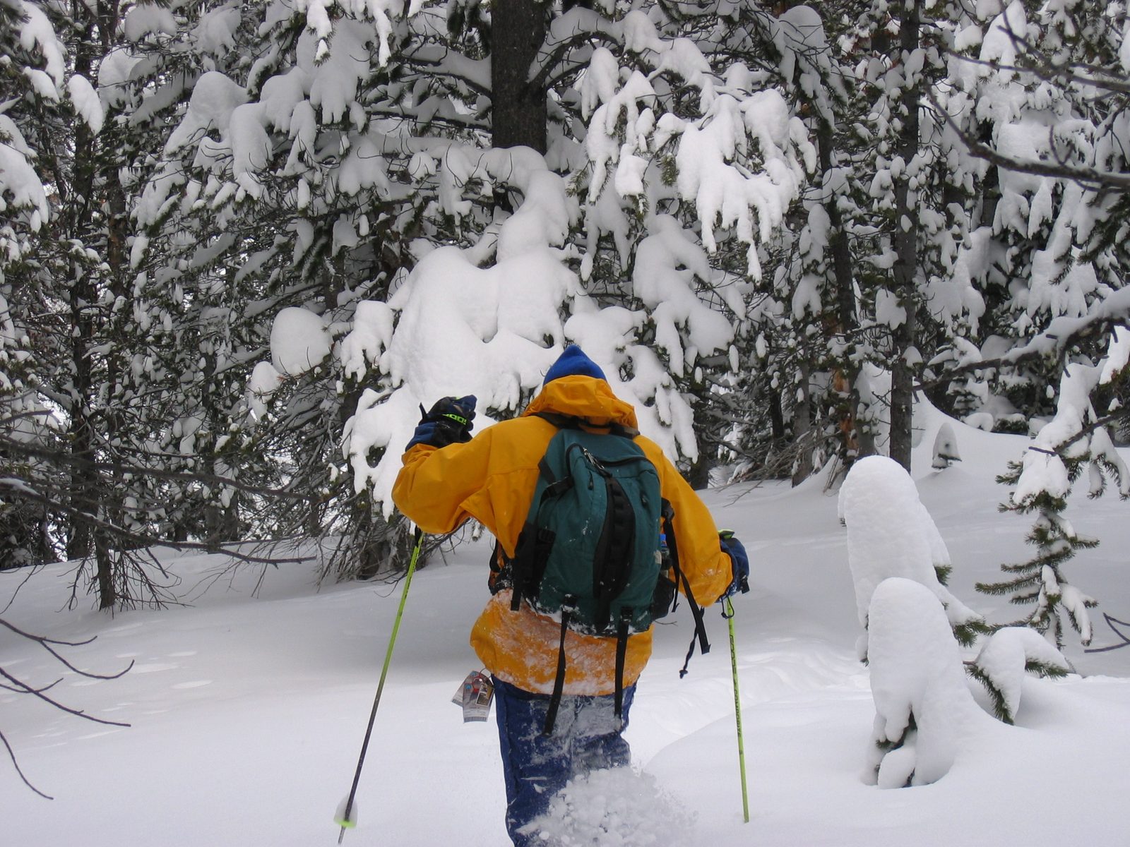 Trekking off through the woods