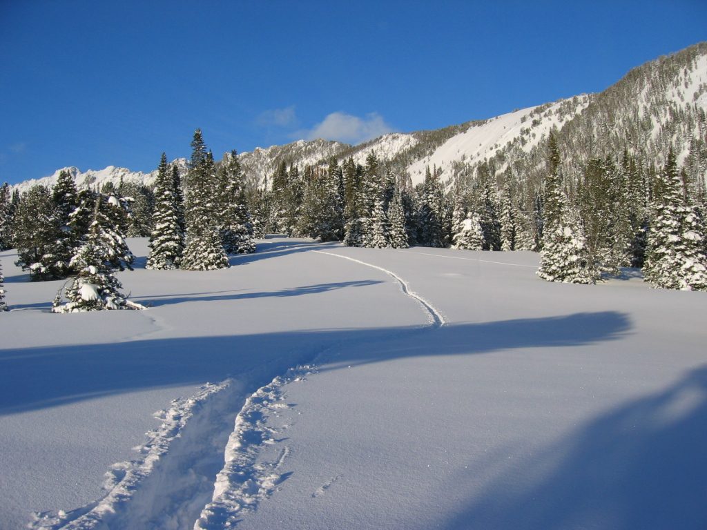 Our path is kind of like artwork.