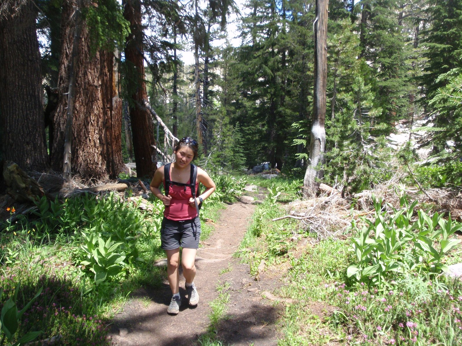 I had told Monica the hike would be, despite the high mileage, relatively flat with no major...