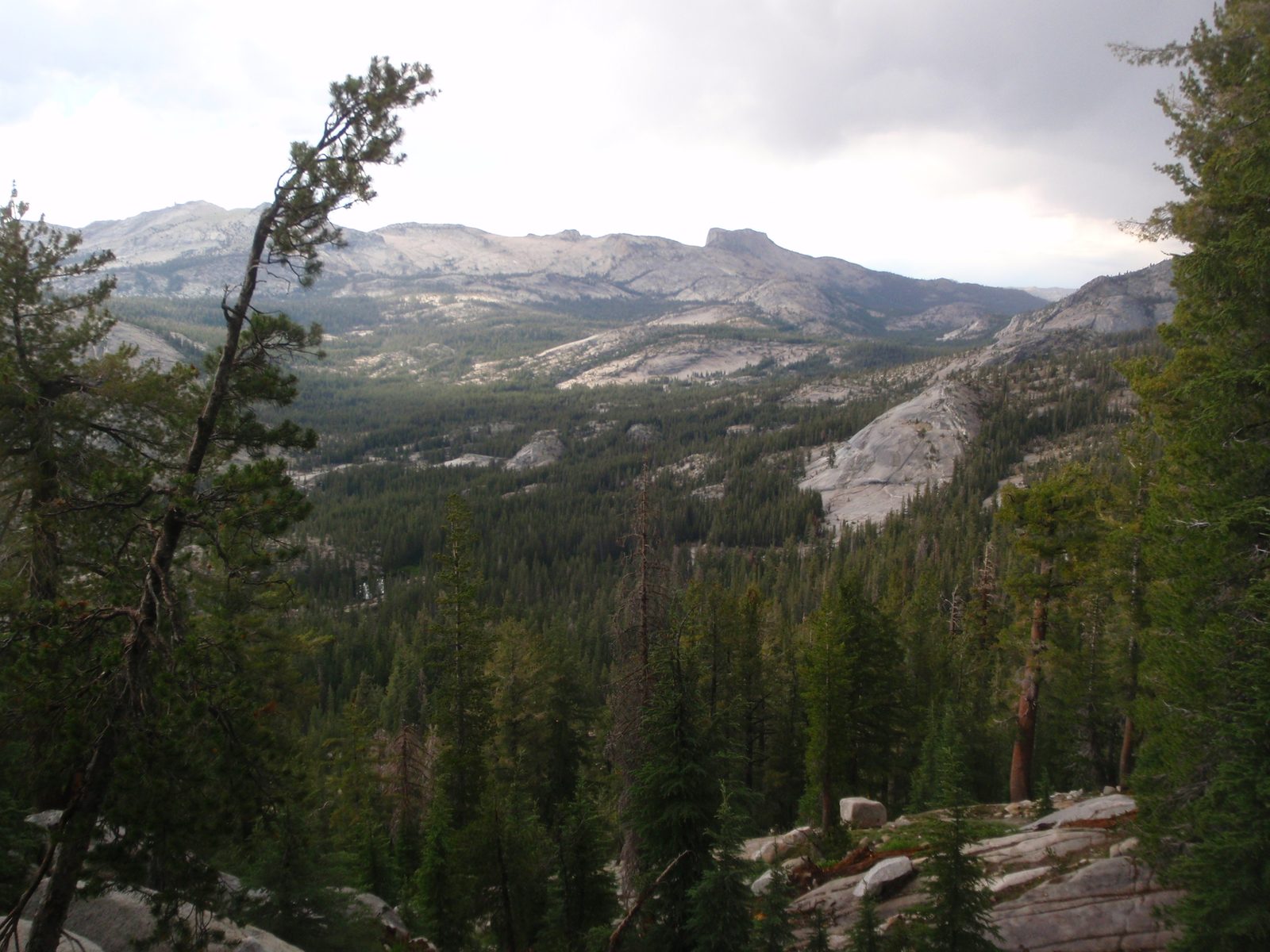 Looking out at Mt. Hoffmann.