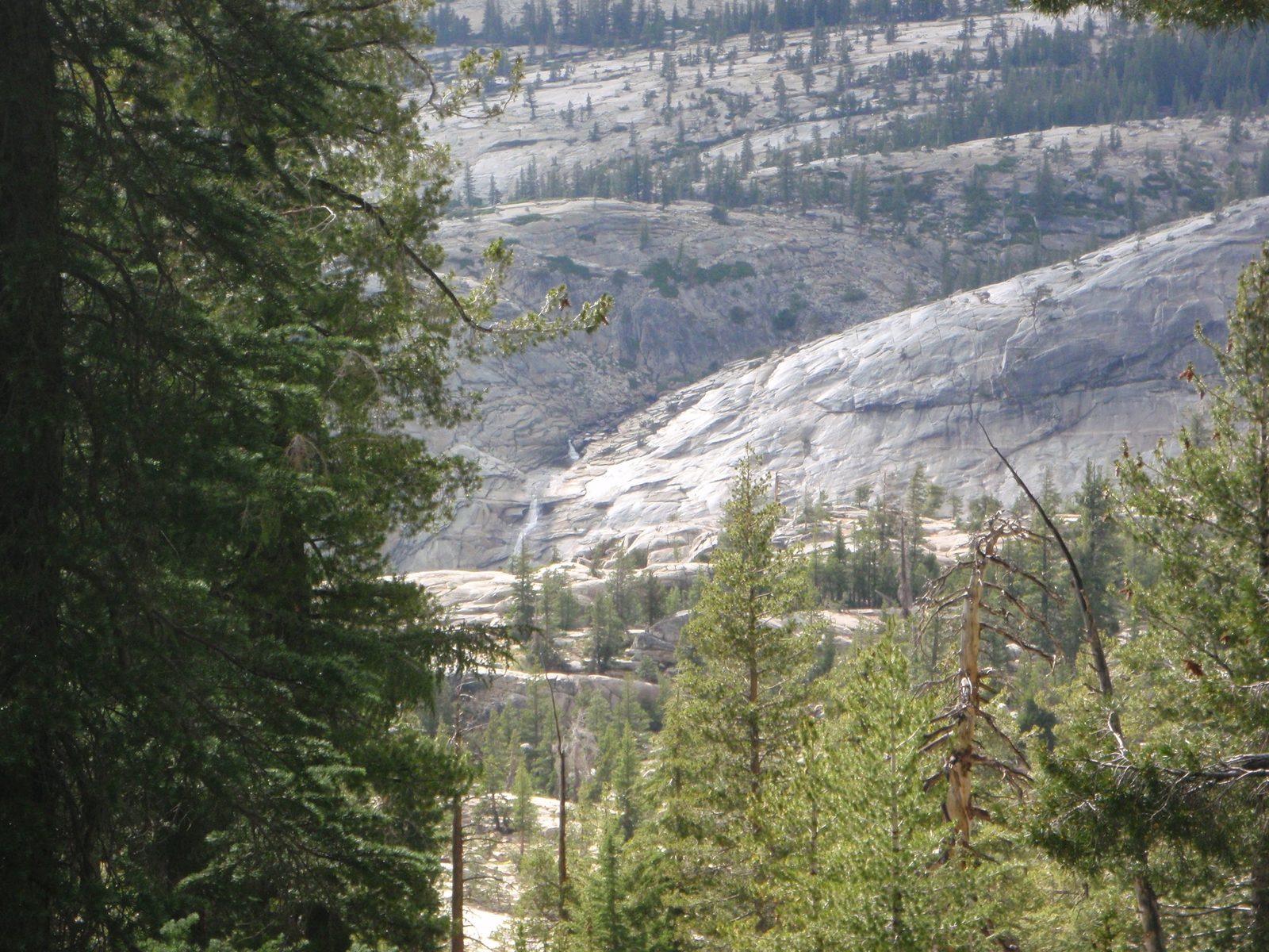 Looking out at a pretty waterfall coming down between two domes in the Tenaya Creek drainage.