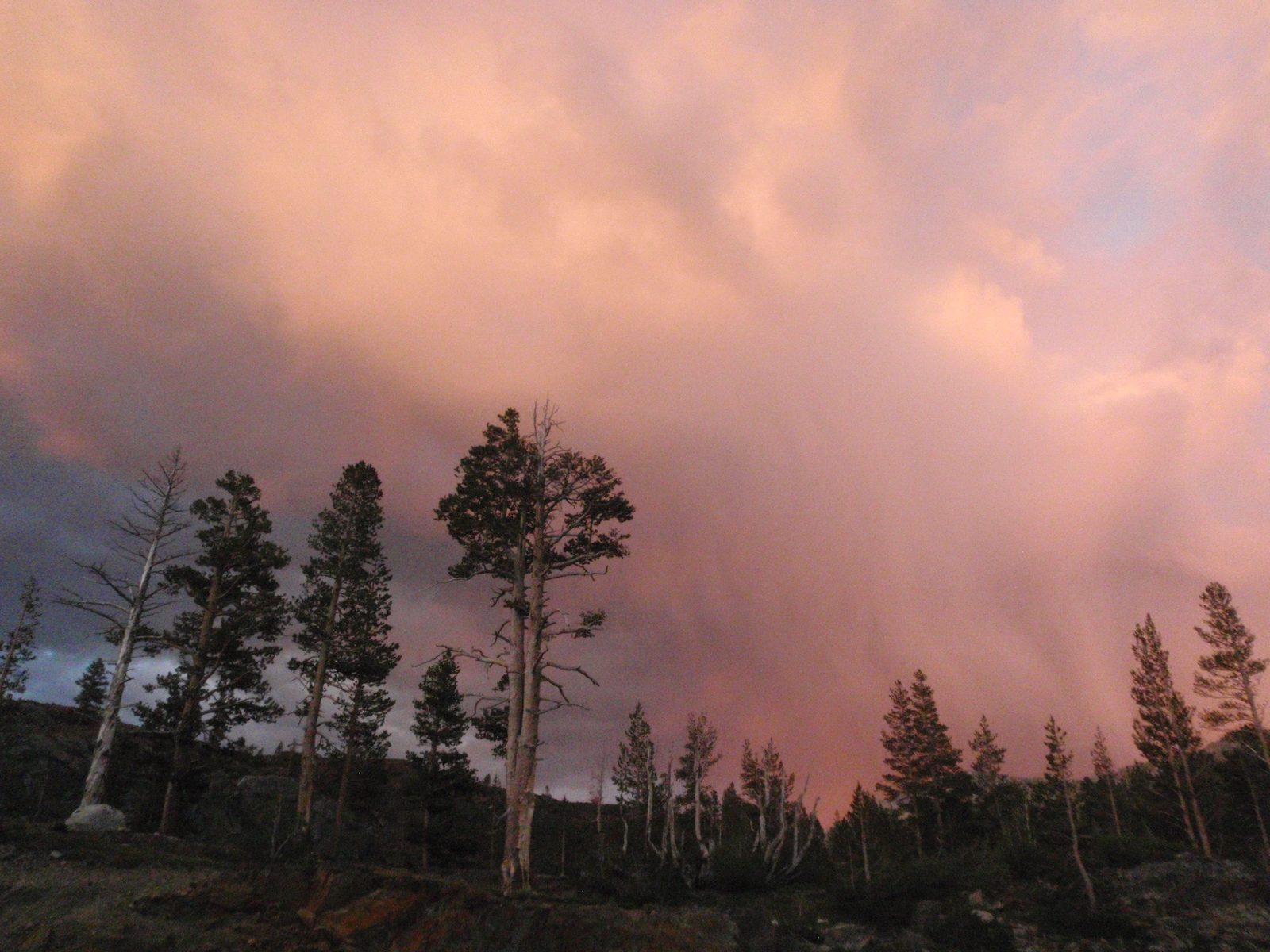 End of the world! Not a forest fire... just virga and storm clouds and setting sun.