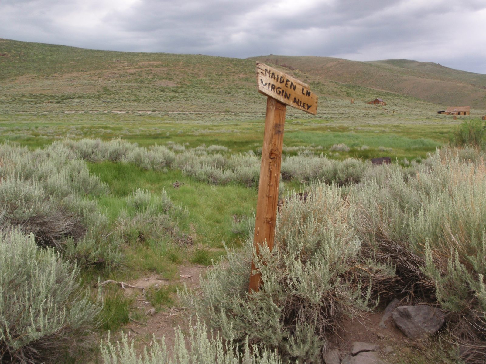 Apparently the sight of Bodie's once-thriving red light district.