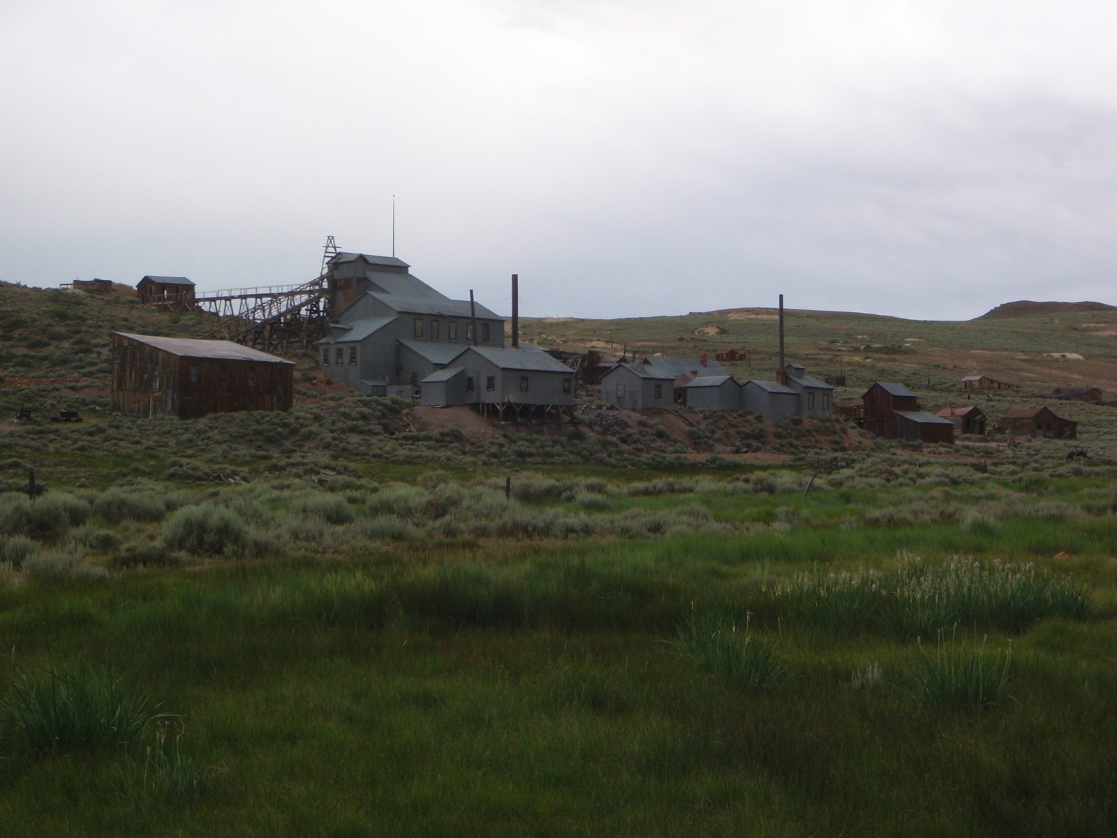 The Standard Mine and Mill.