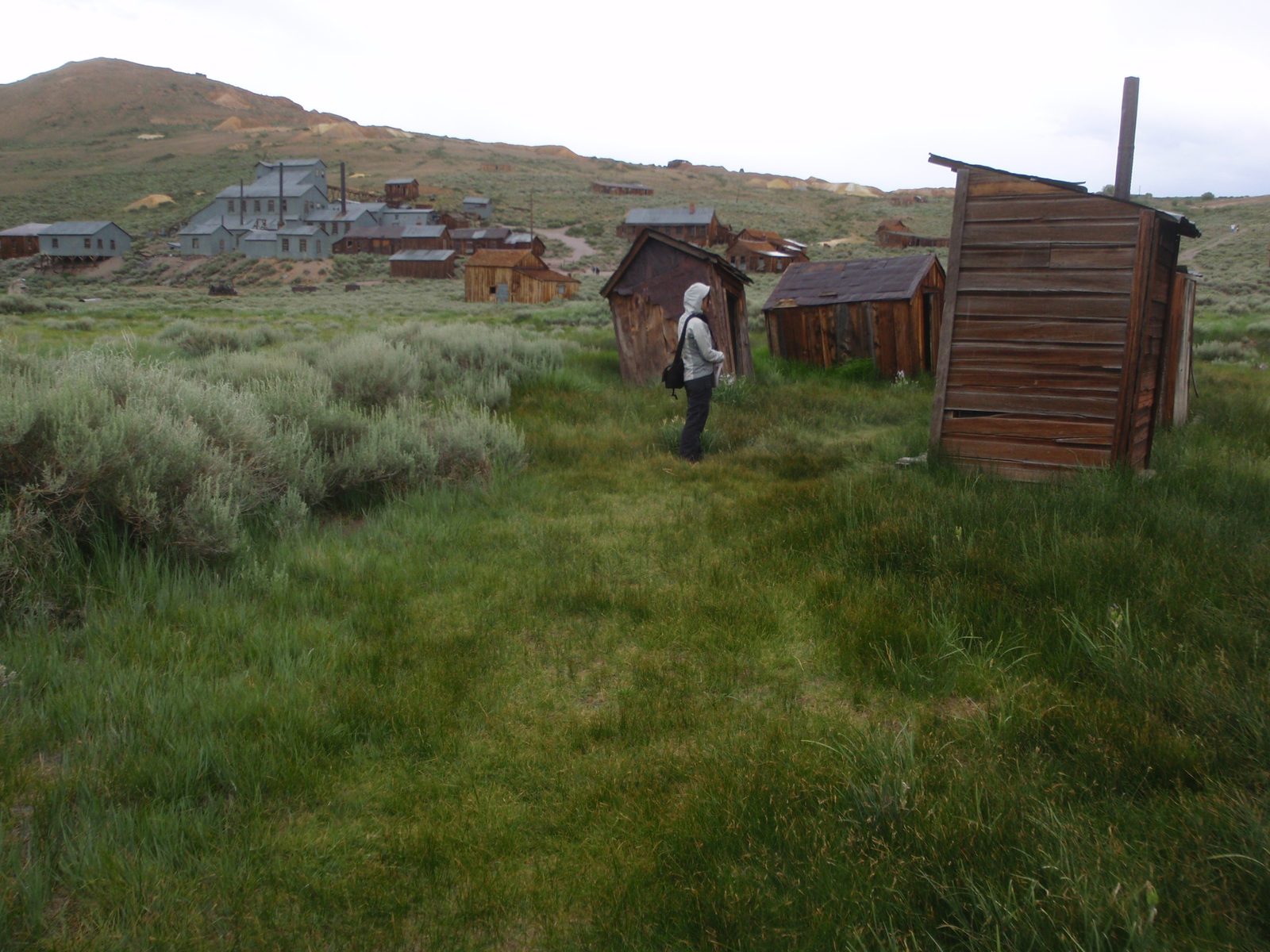 Monica trying to figure out which outhouse was actually operational.