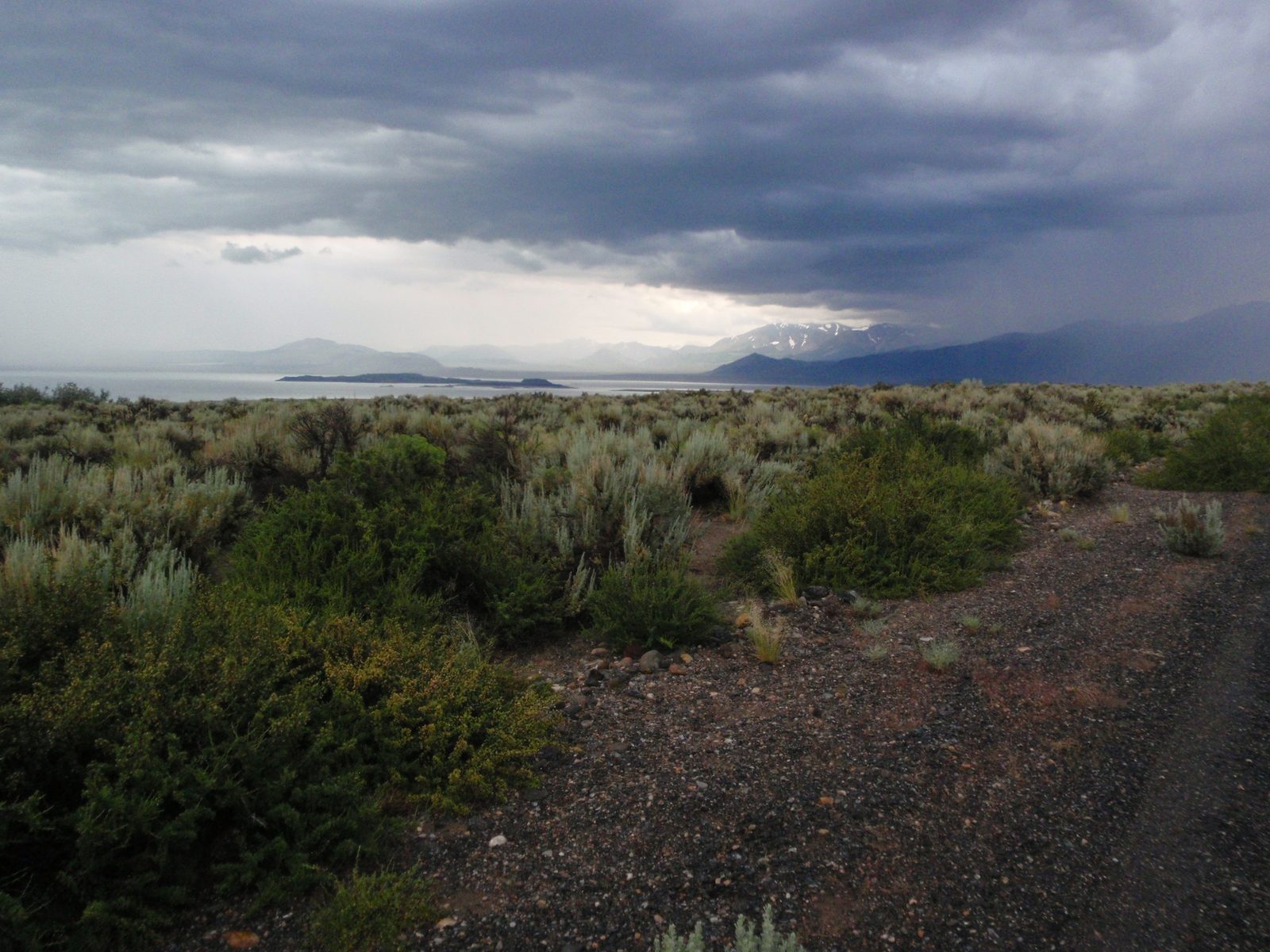 The desert makes dramatic colors when it is wet.