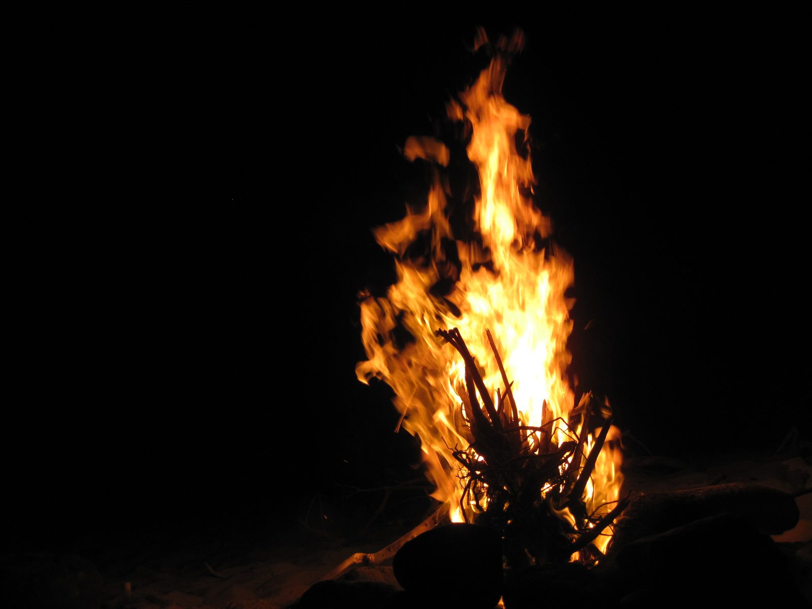 We really made an impressive fire! It probably could have been seen from space.