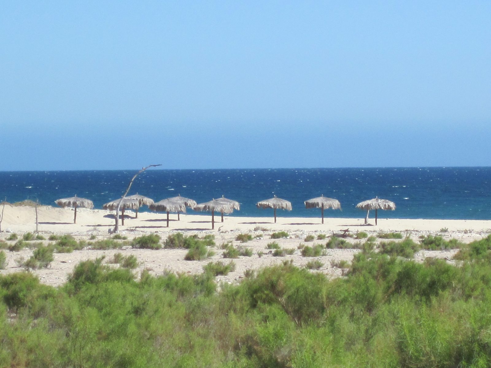 Palapas. Looks very relaxing.