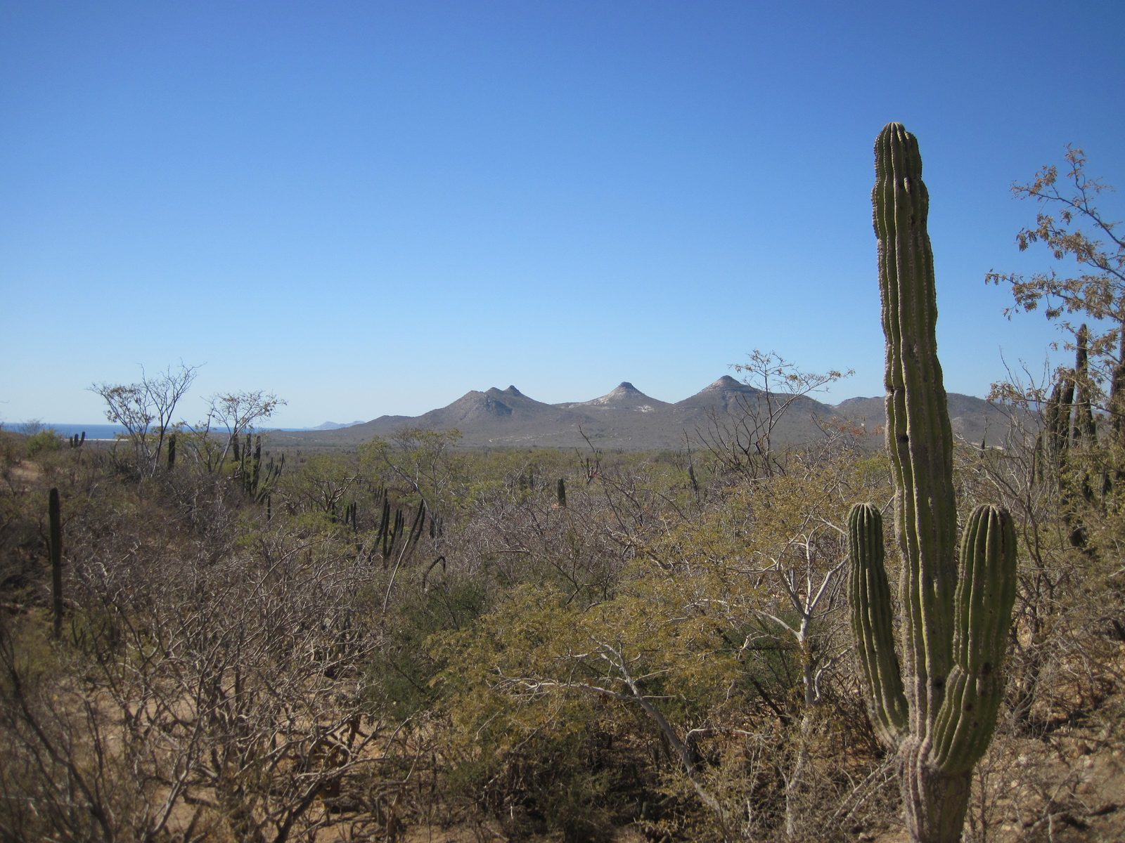 View of some old volcanoes (I'm guessing) back closer to San Jose del Cabo.