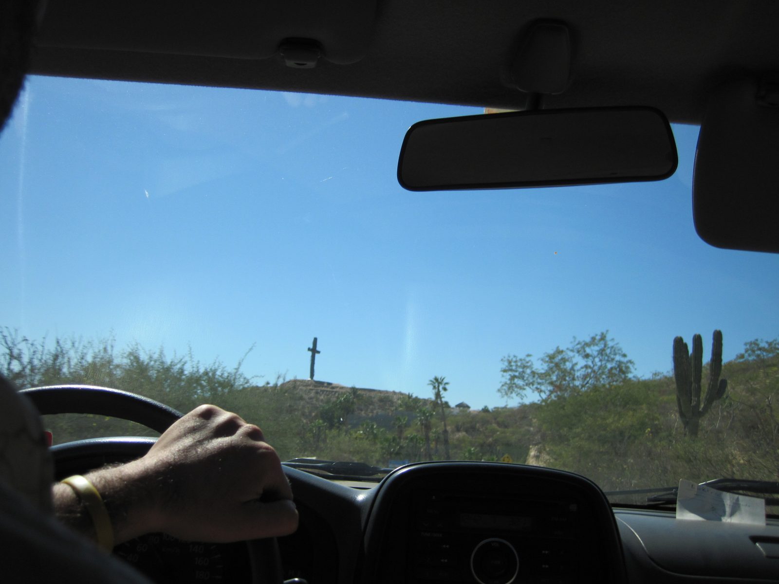 Cactus or cross or cell phone tower?