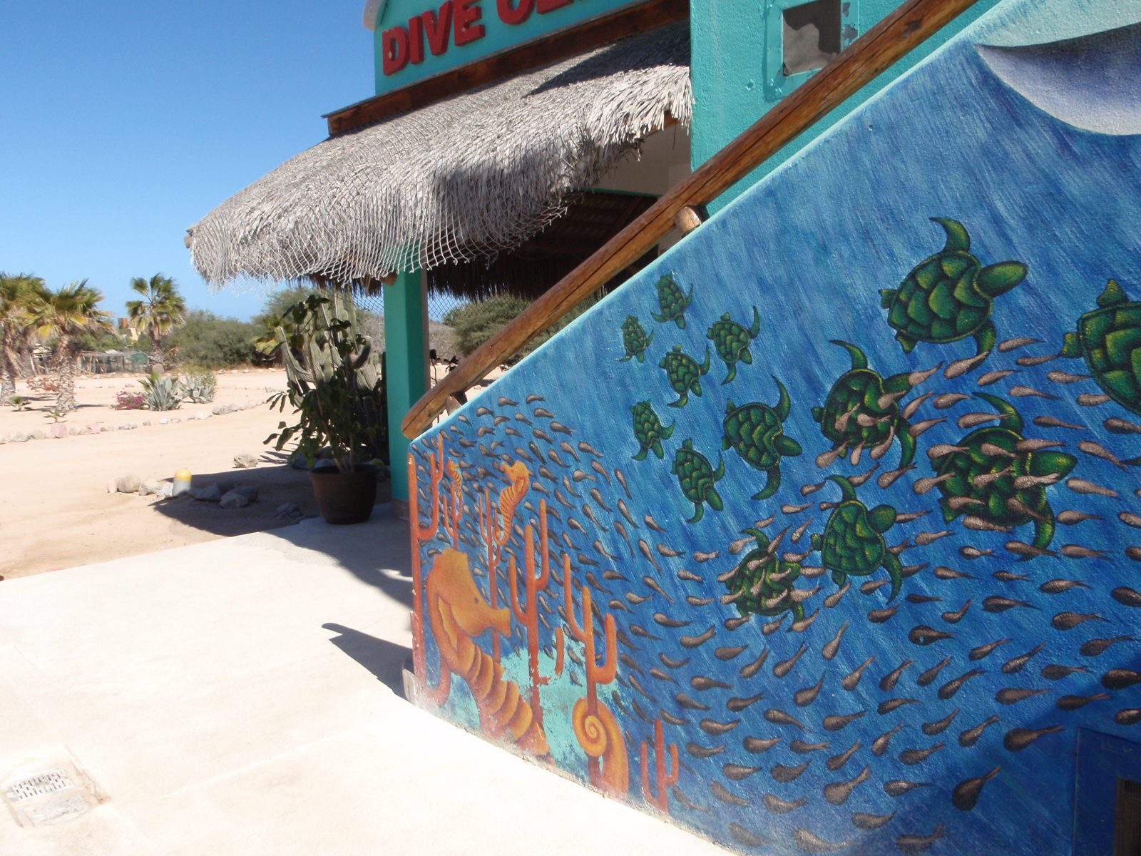 On Saturday afternoon, I took the truck to town to inquire at a couple dive shops if anyone had...