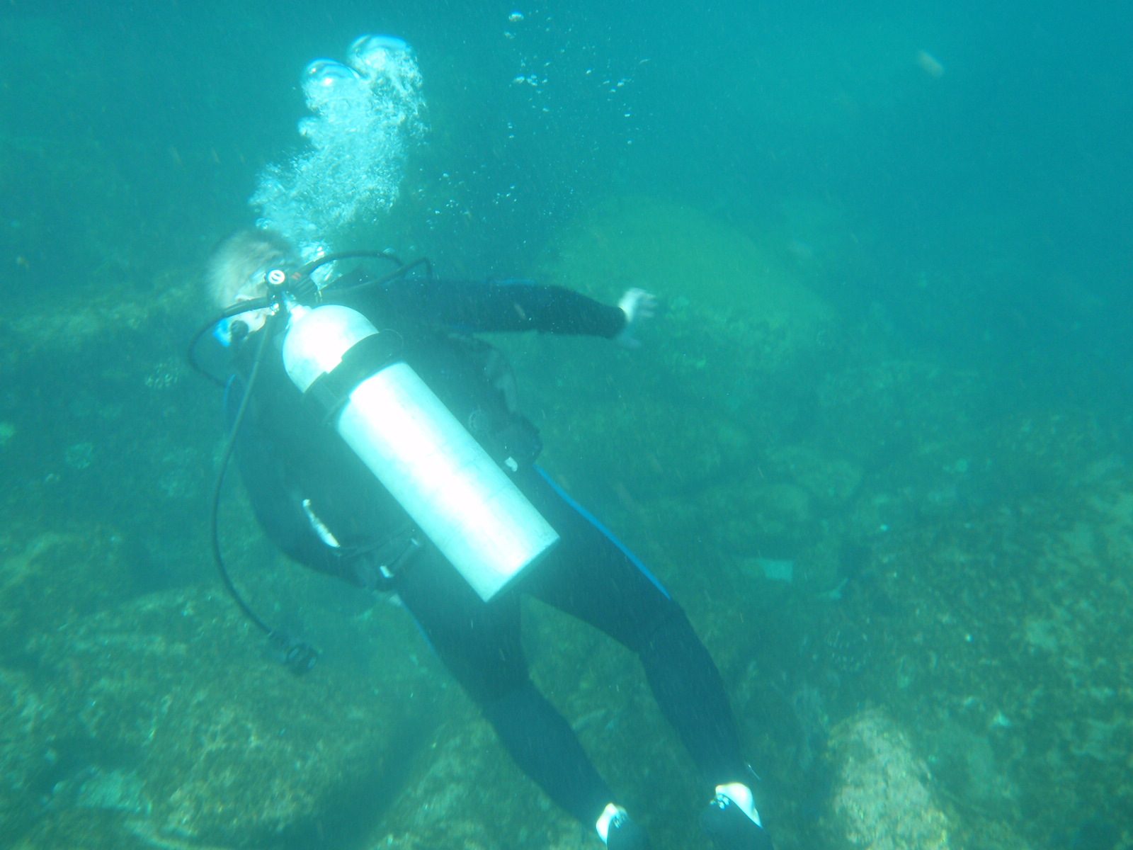 Kit, my dive partner. Even though I didn't have the underwater housing for my camera, I decided...
