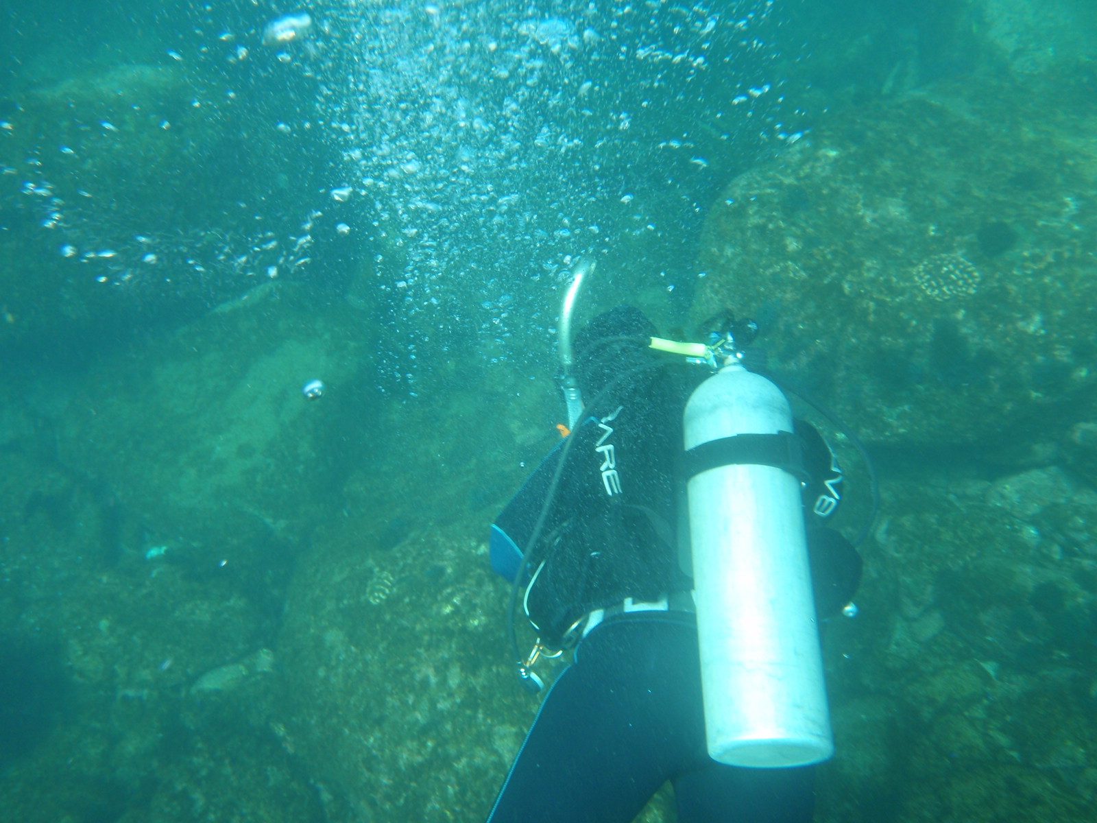 My dive master. Lucky! She has a neoprene hood! The water was pretty chilly... about 65 degrees....