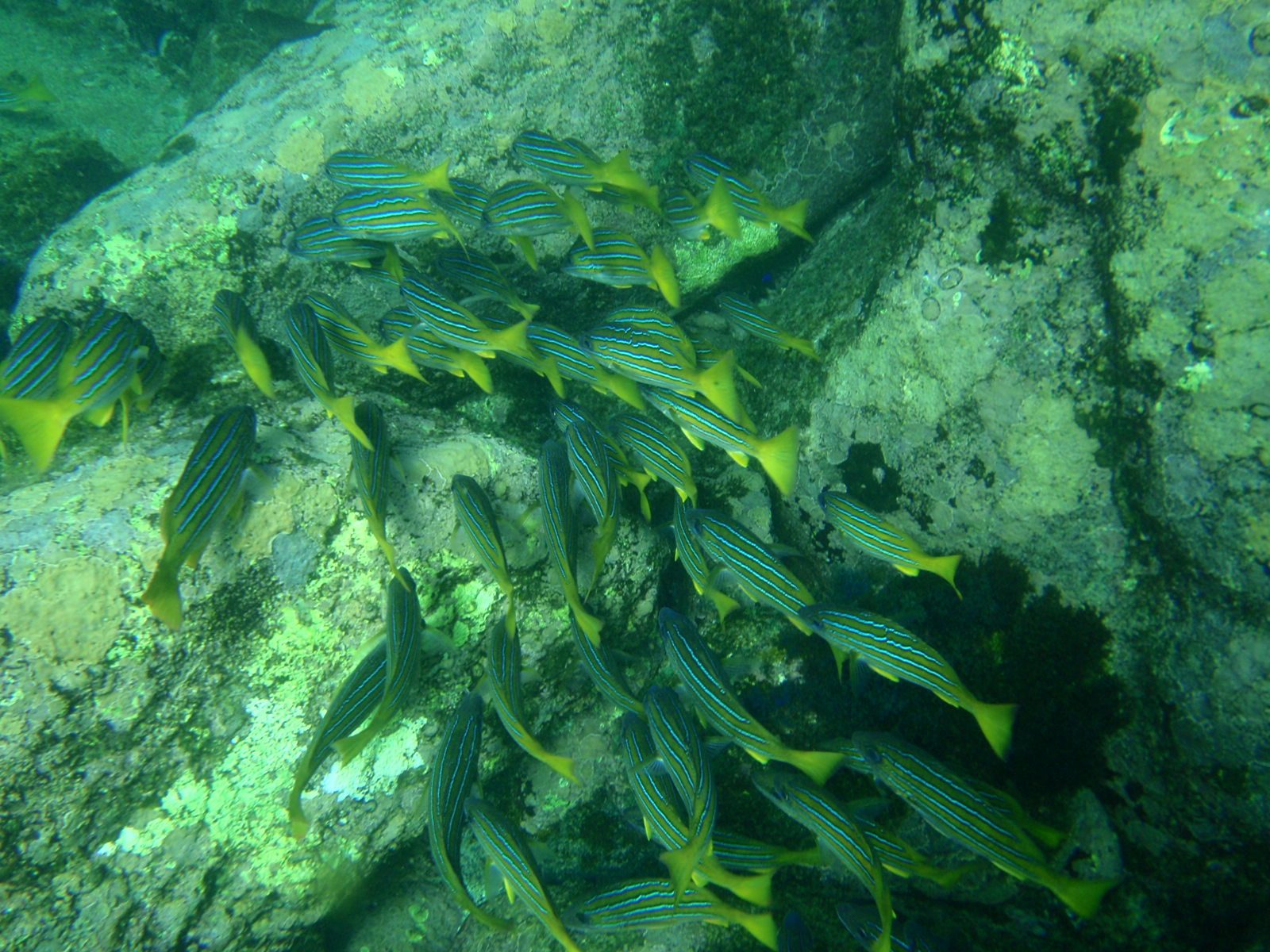 Swimming away again...