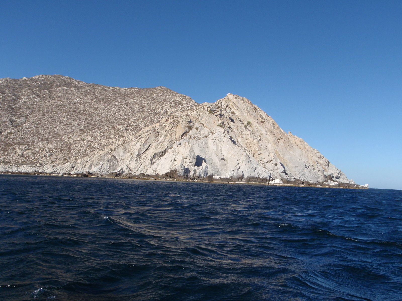 Headed back to shore. During the deeper part of my dive I saw sting rays, puffer fish, sea...