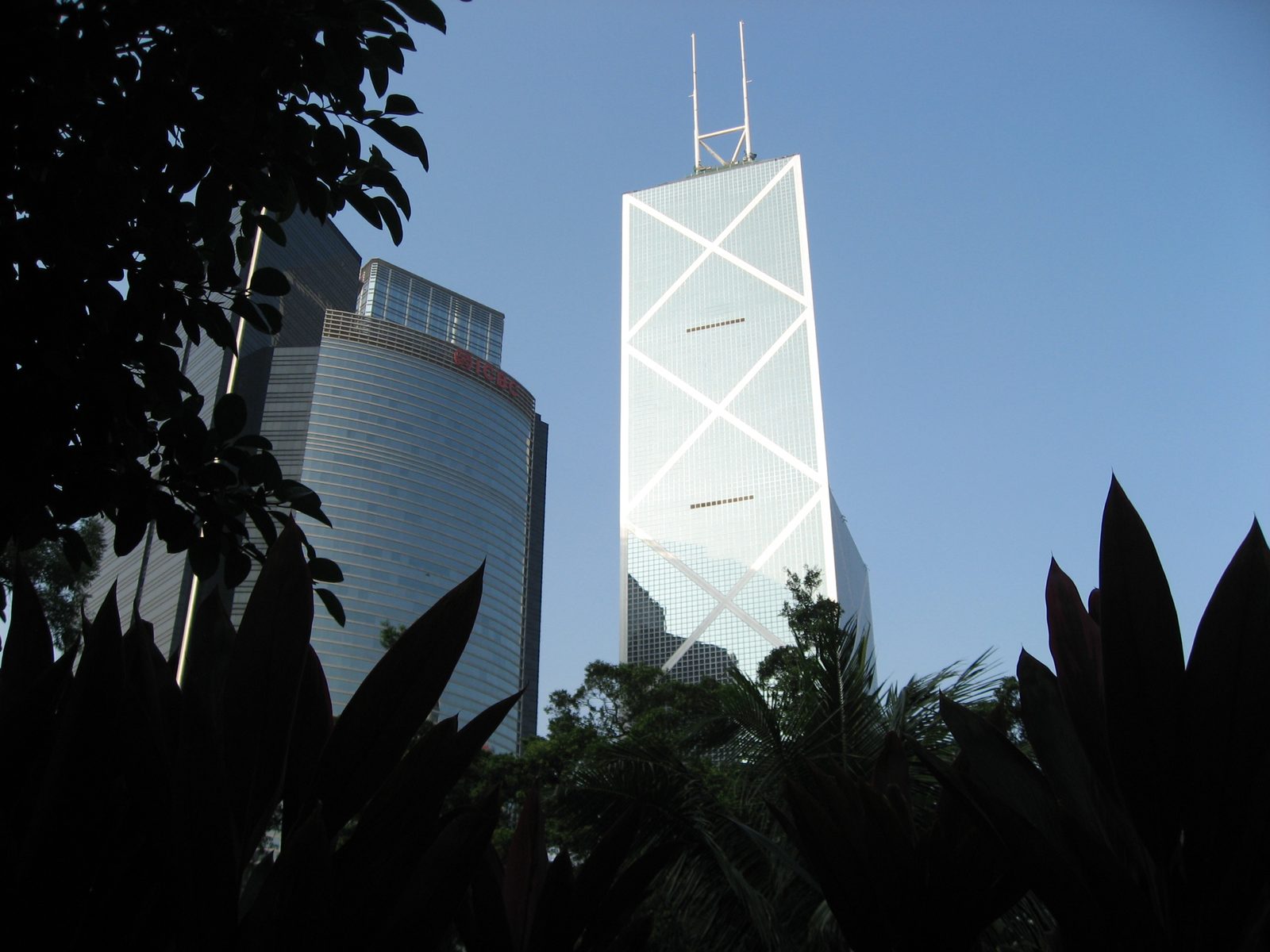 Bank of China tower, taken from inside the jungle-like Hong Kong Park.