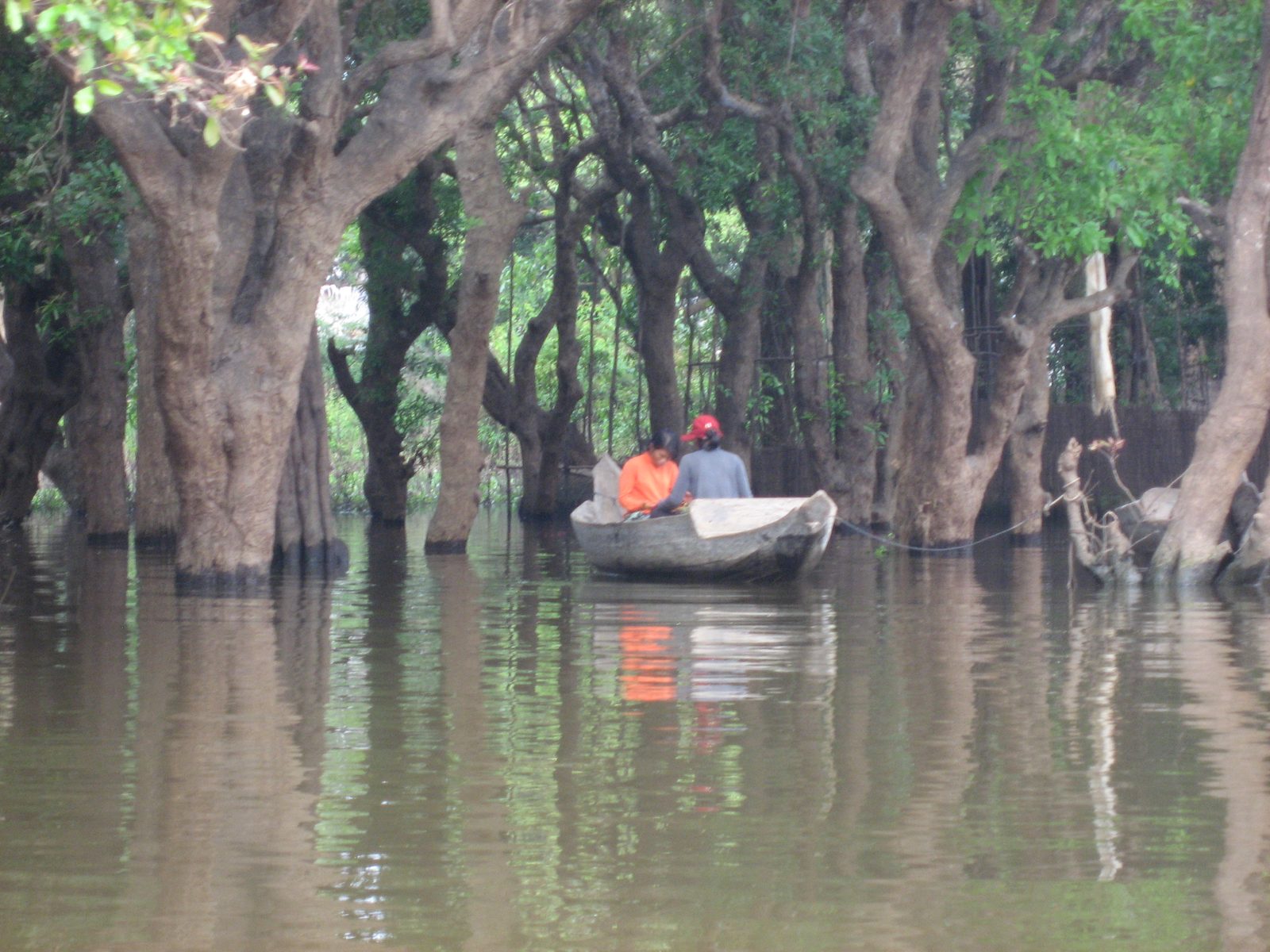 Kampong Phluuk villagers among the mangroves.