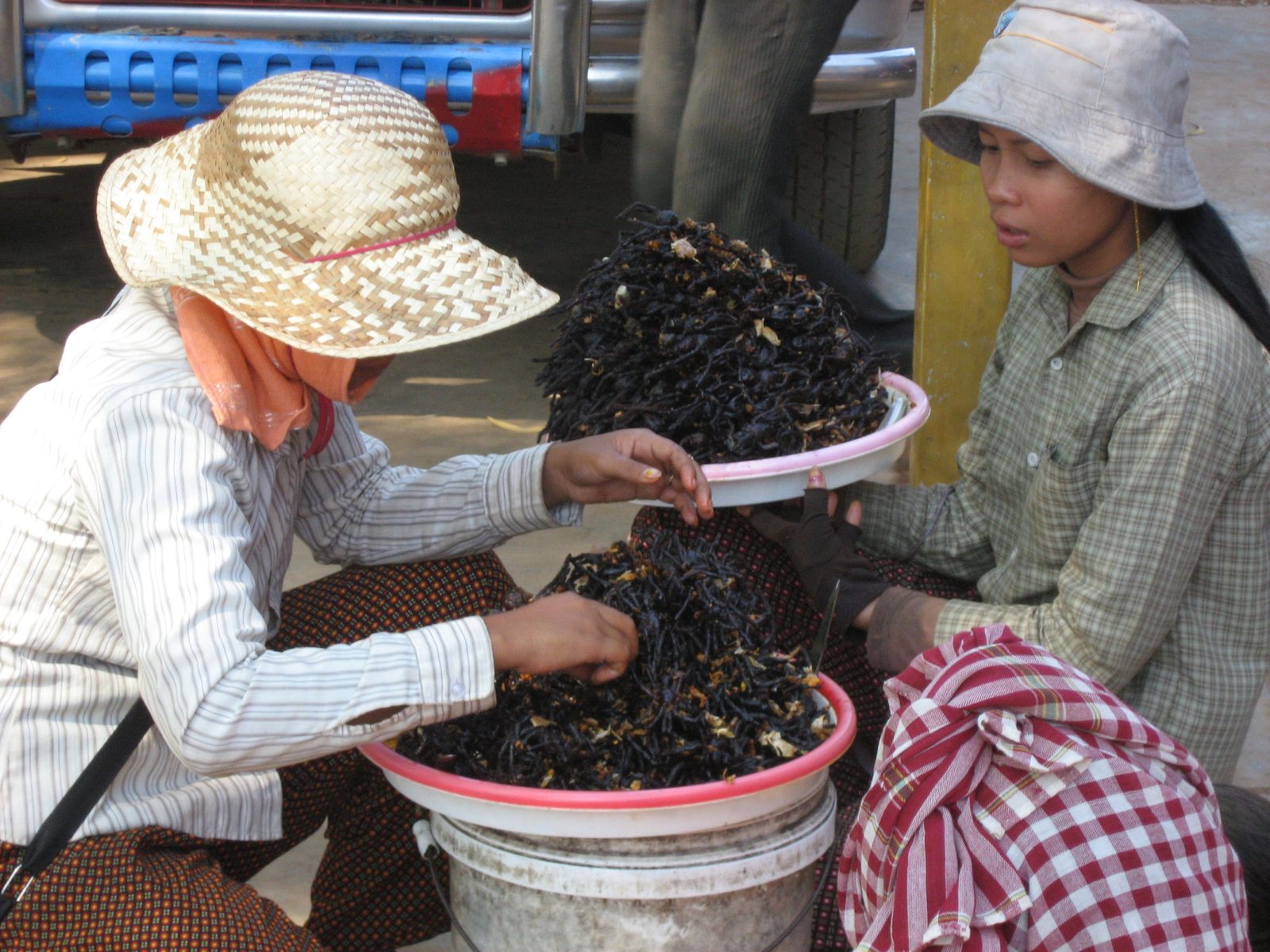 Why did I never grow weary of seeing piles of tarantulas for sale?
