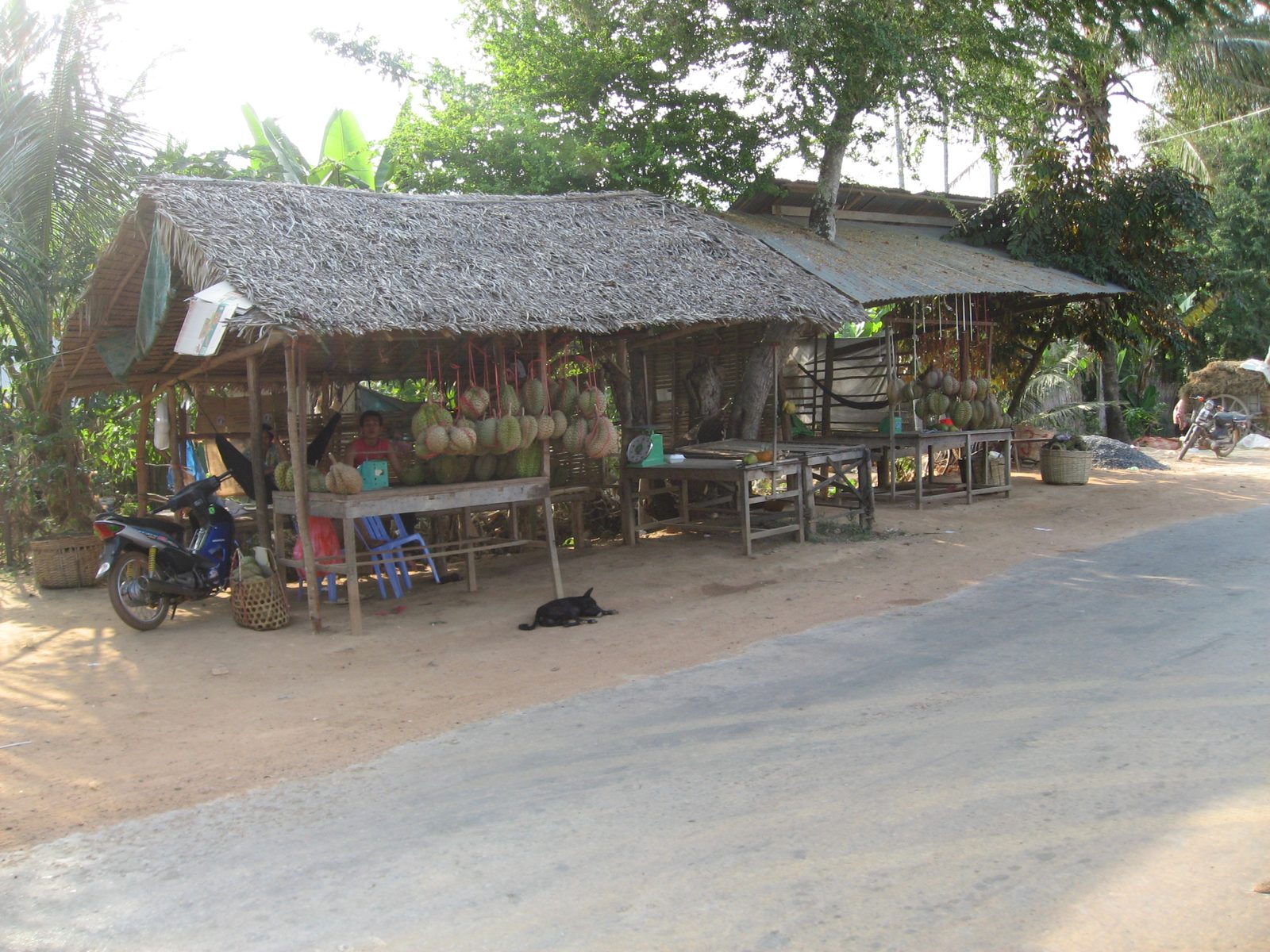 A durian stand!