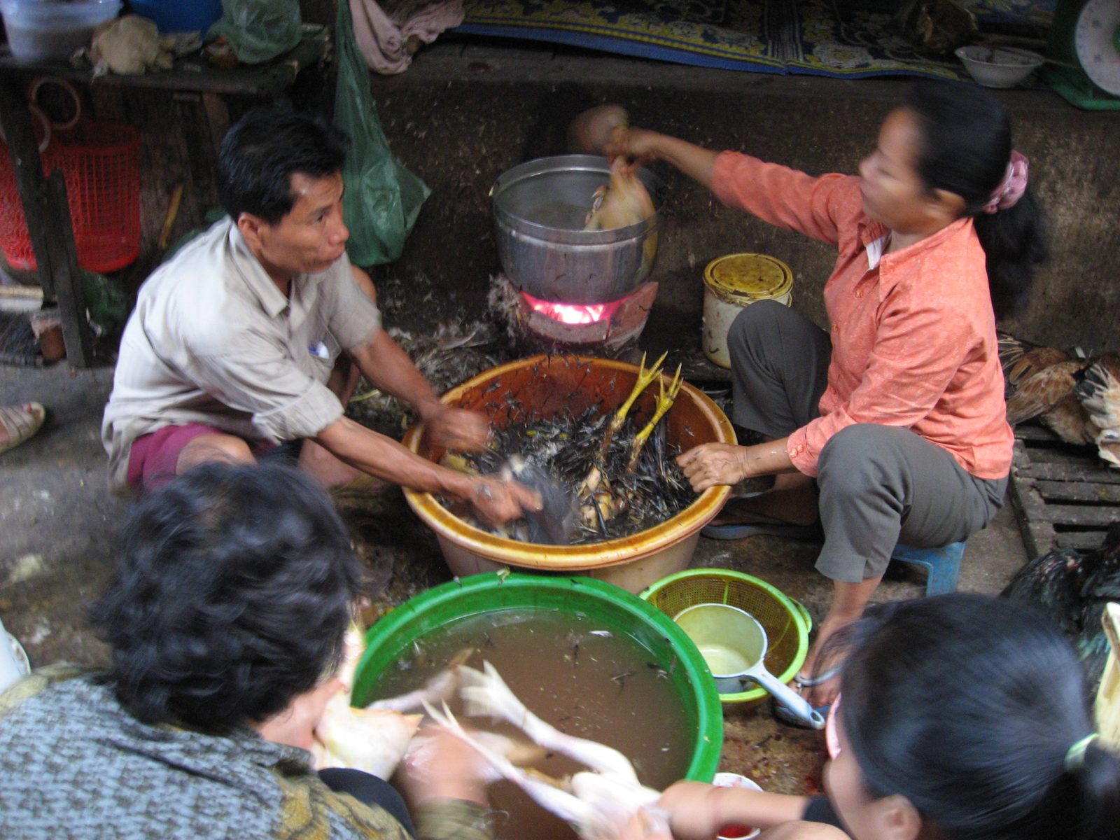 Taking chickens apart, step by step.  In the Kampot Market.