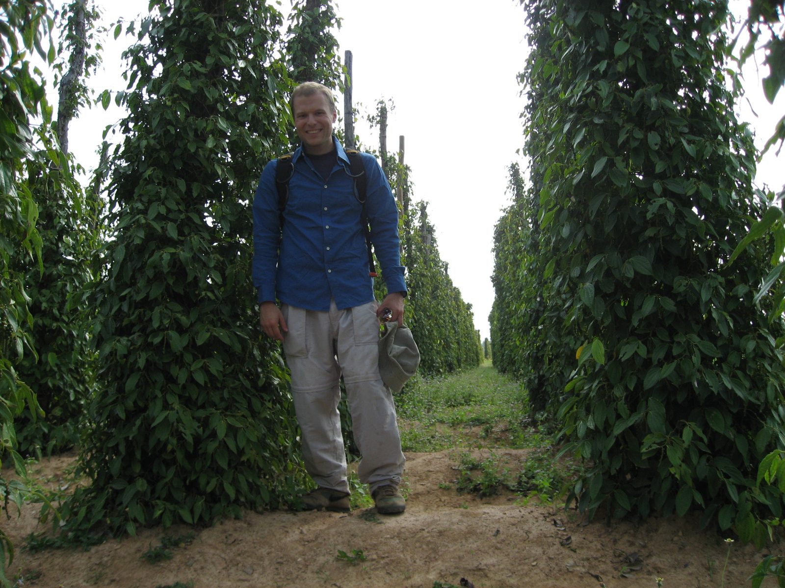 John, amongst the pepper plants.
