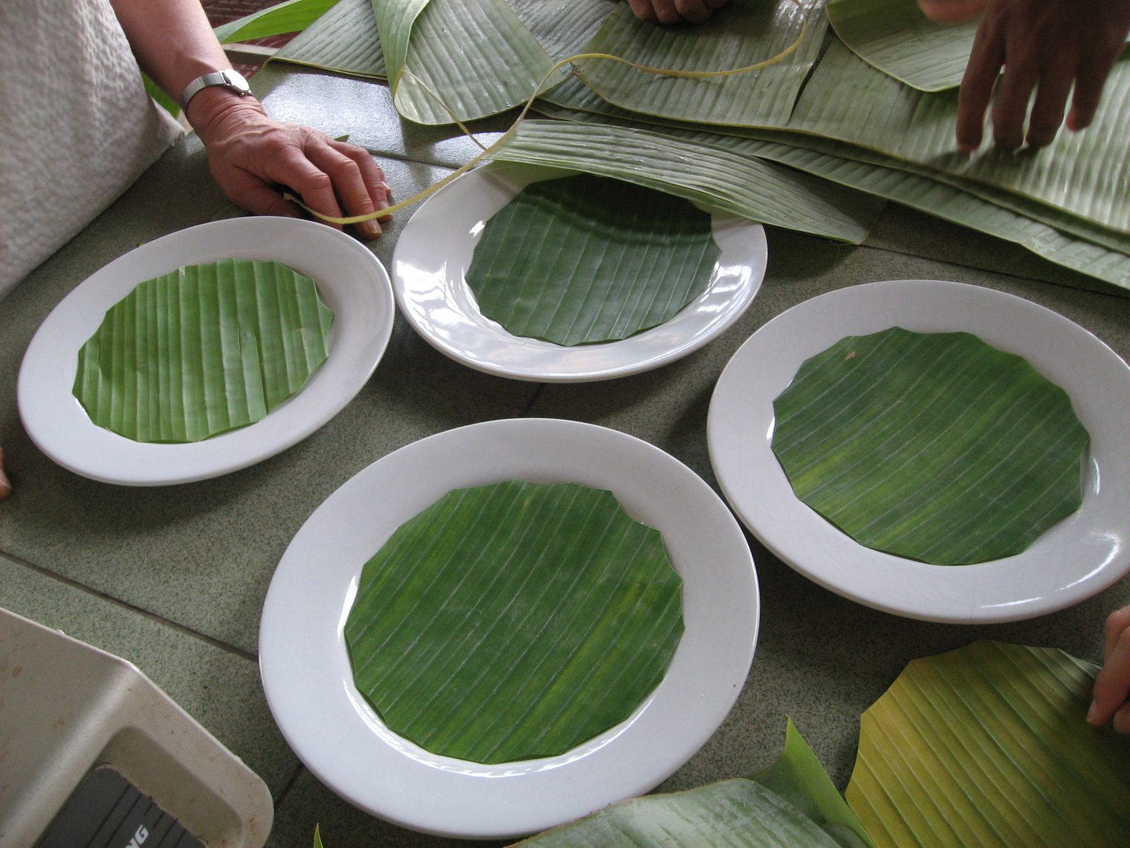 Making doilies for our fish amok.