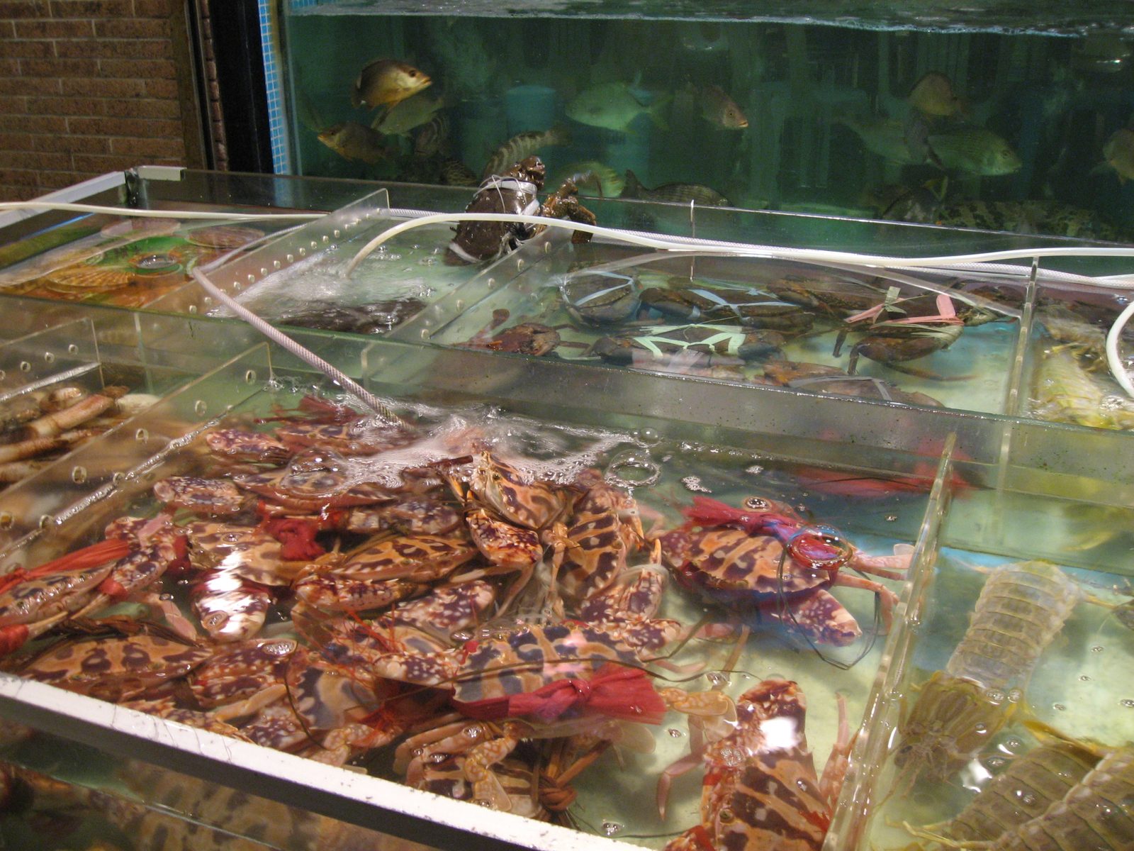 They all look so delicious... how do we choose??