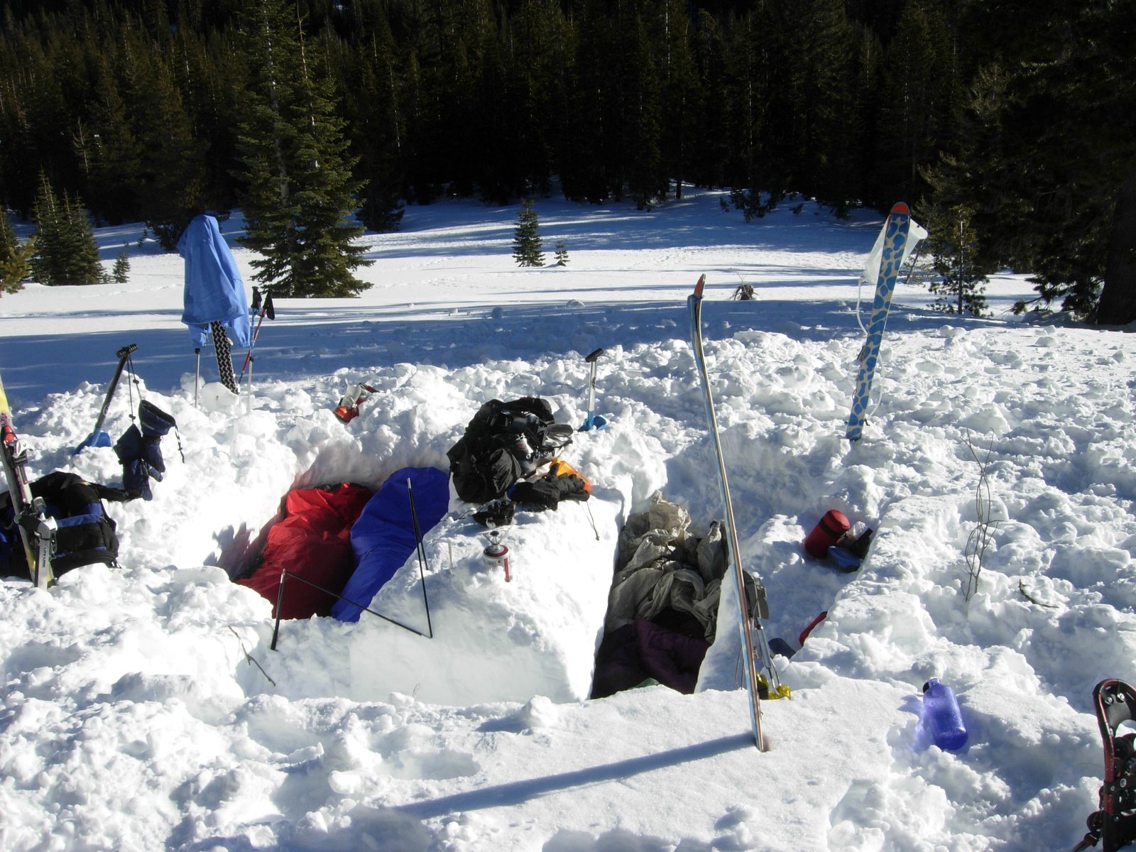 Our super-tidy snow-camp, a (long) bit after sunrise.