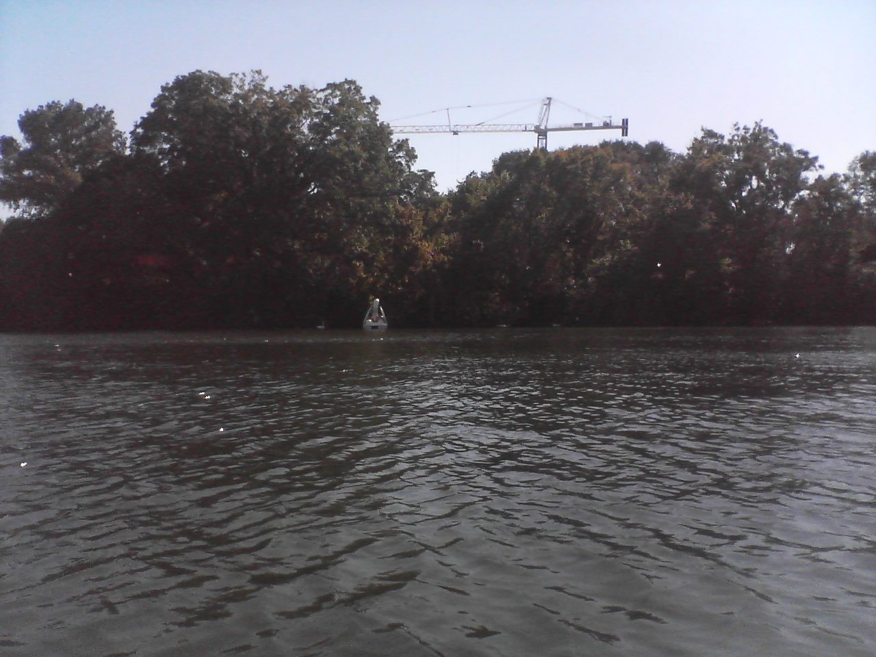 "Are you my mother?"  Mechanical swam paddle boat goes to play with real swans.
