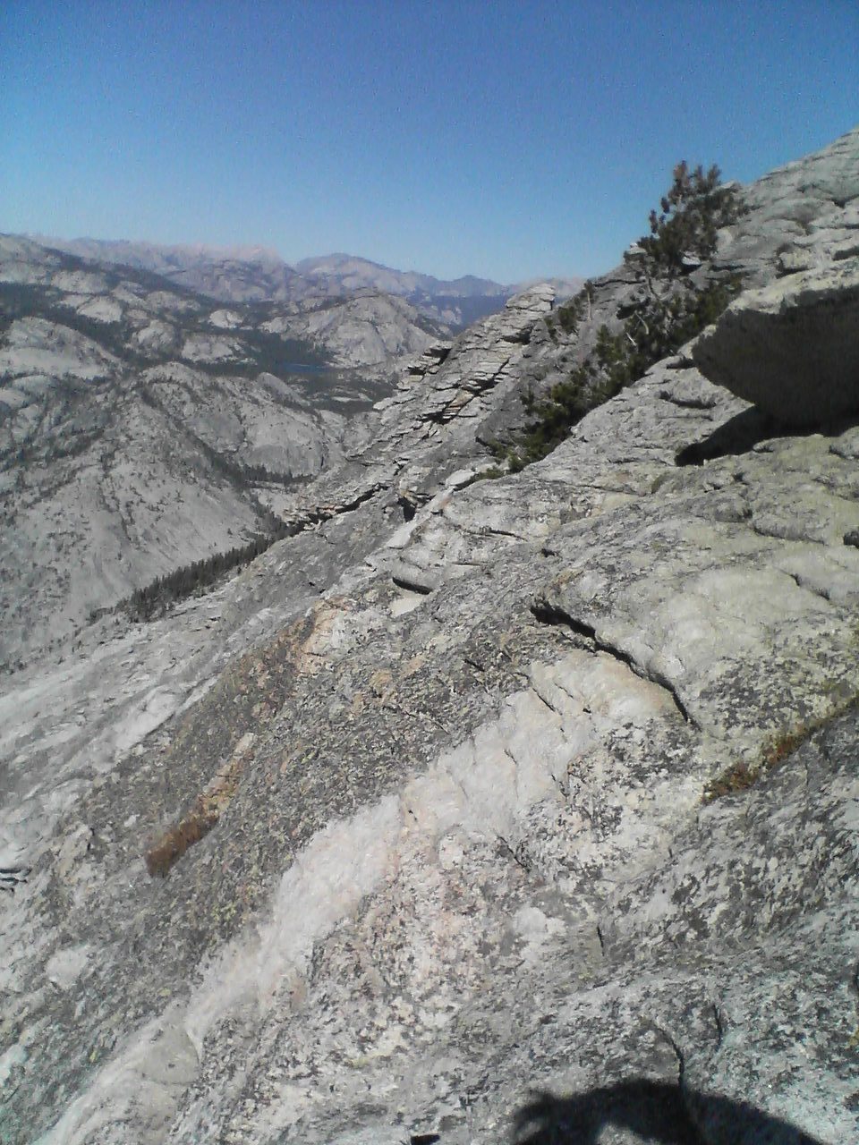 Knobby featured rock along Cloud's Rest.