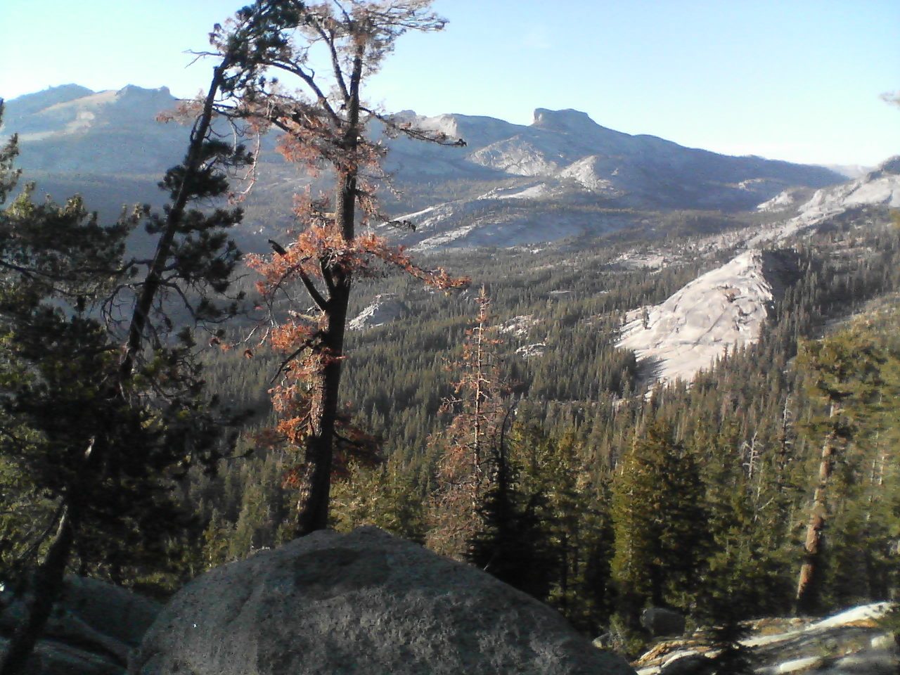 Mt. Hoffmann in the background.