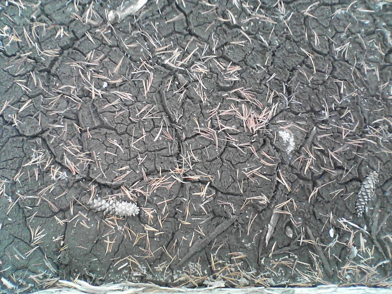 Cool dried lake bed in Olmsted Canyon.