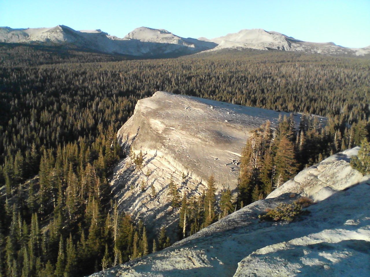 Top of Lembert Dome, looking north.