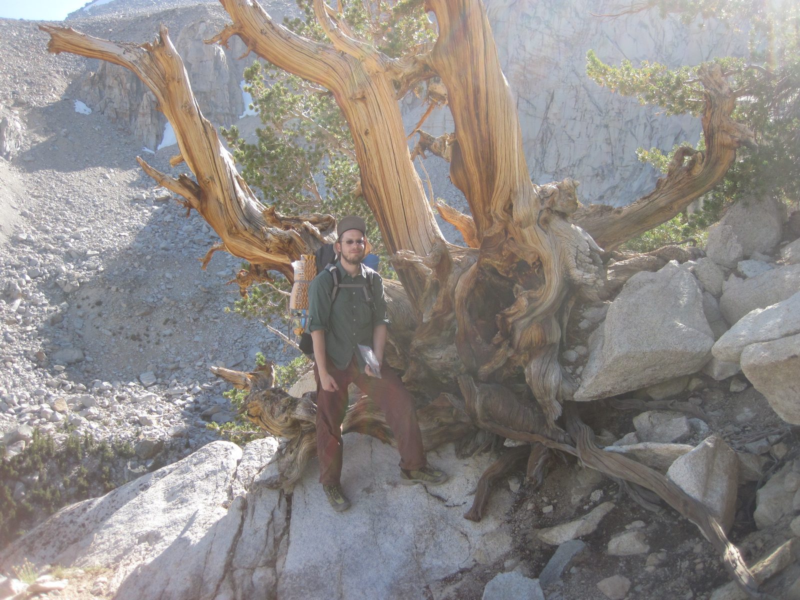 On the first afternoon, we hiked in over Kearsarge Pass, an 11,800 foot granite knife-edge that...