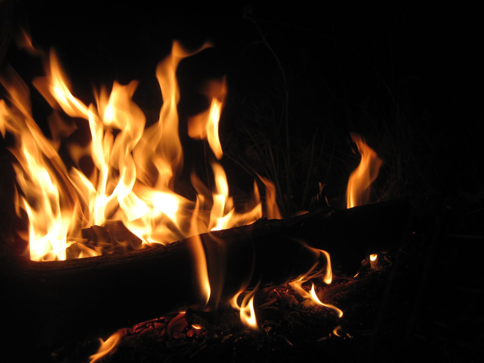 We took turns tending the fire throughout the night, which tended to burn big and fast, forcing...