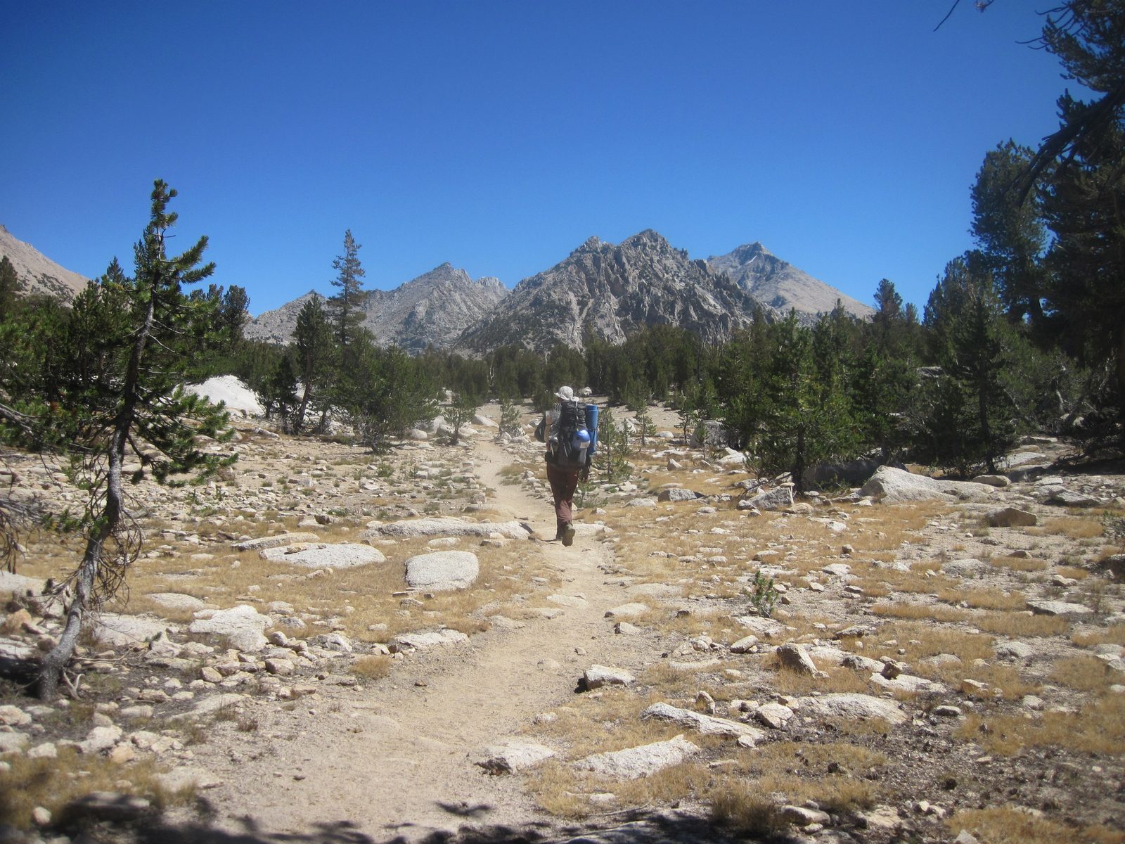 Joel, trekking across a meadow where we cross the John Muir Trail (the trail that runs the spine...