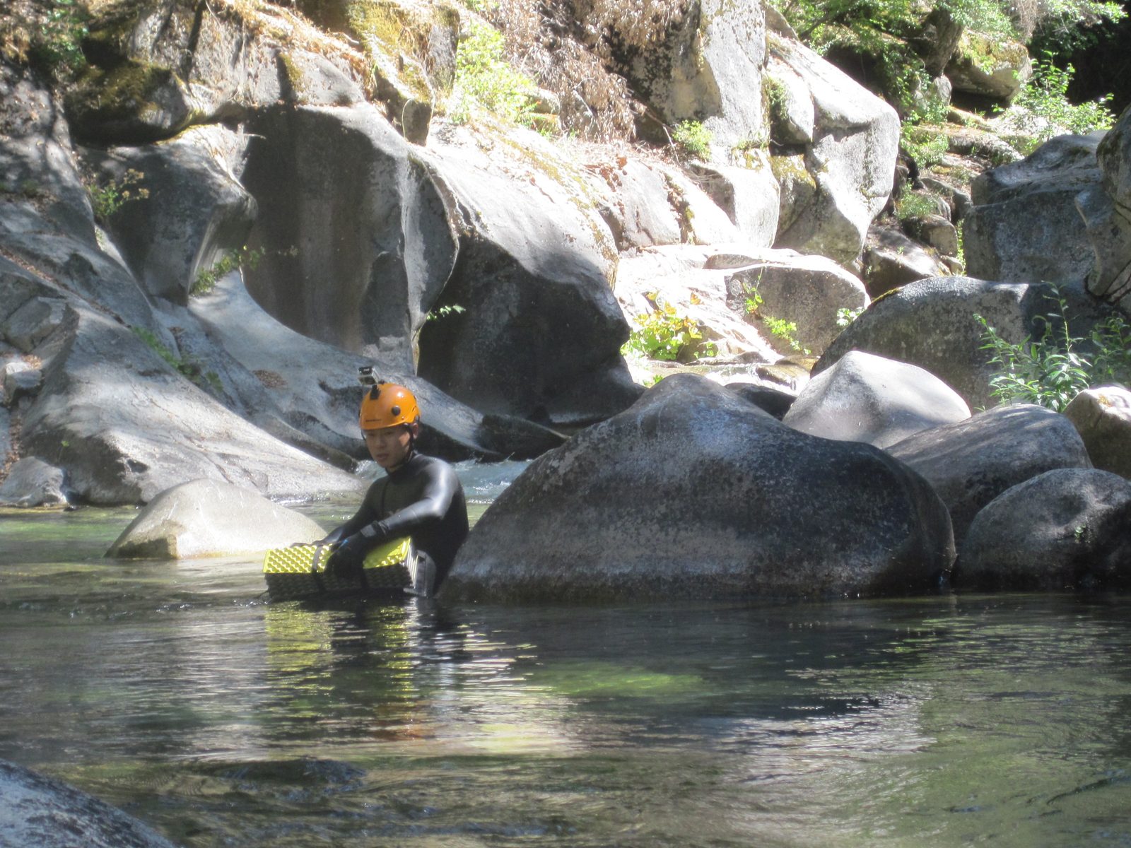 Yang in the river.