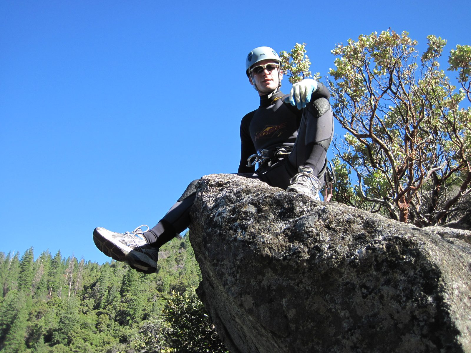 Vinnie, perched on a rock.