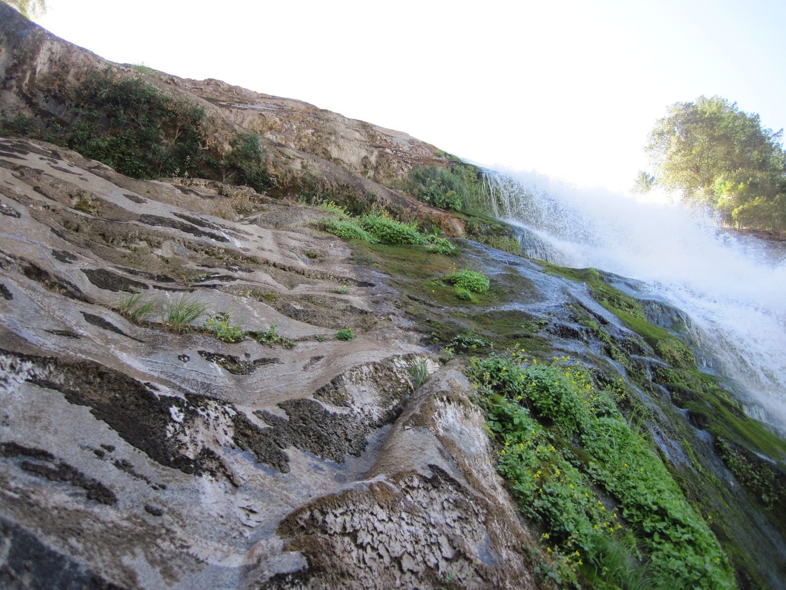 So much greenery growing in the mist of the falls.