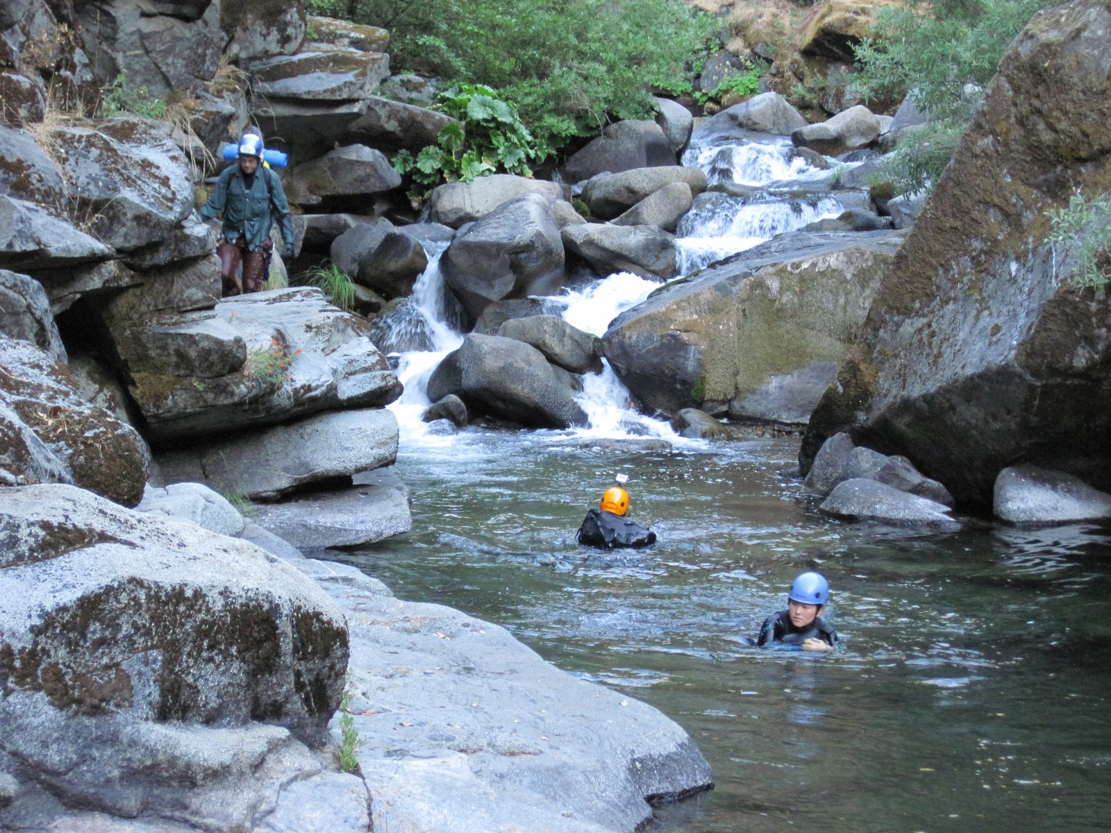 Some swim while others walk.
