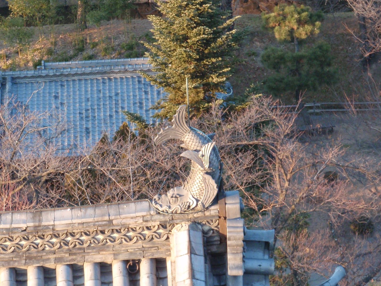 Carved wooden fish on the roof.