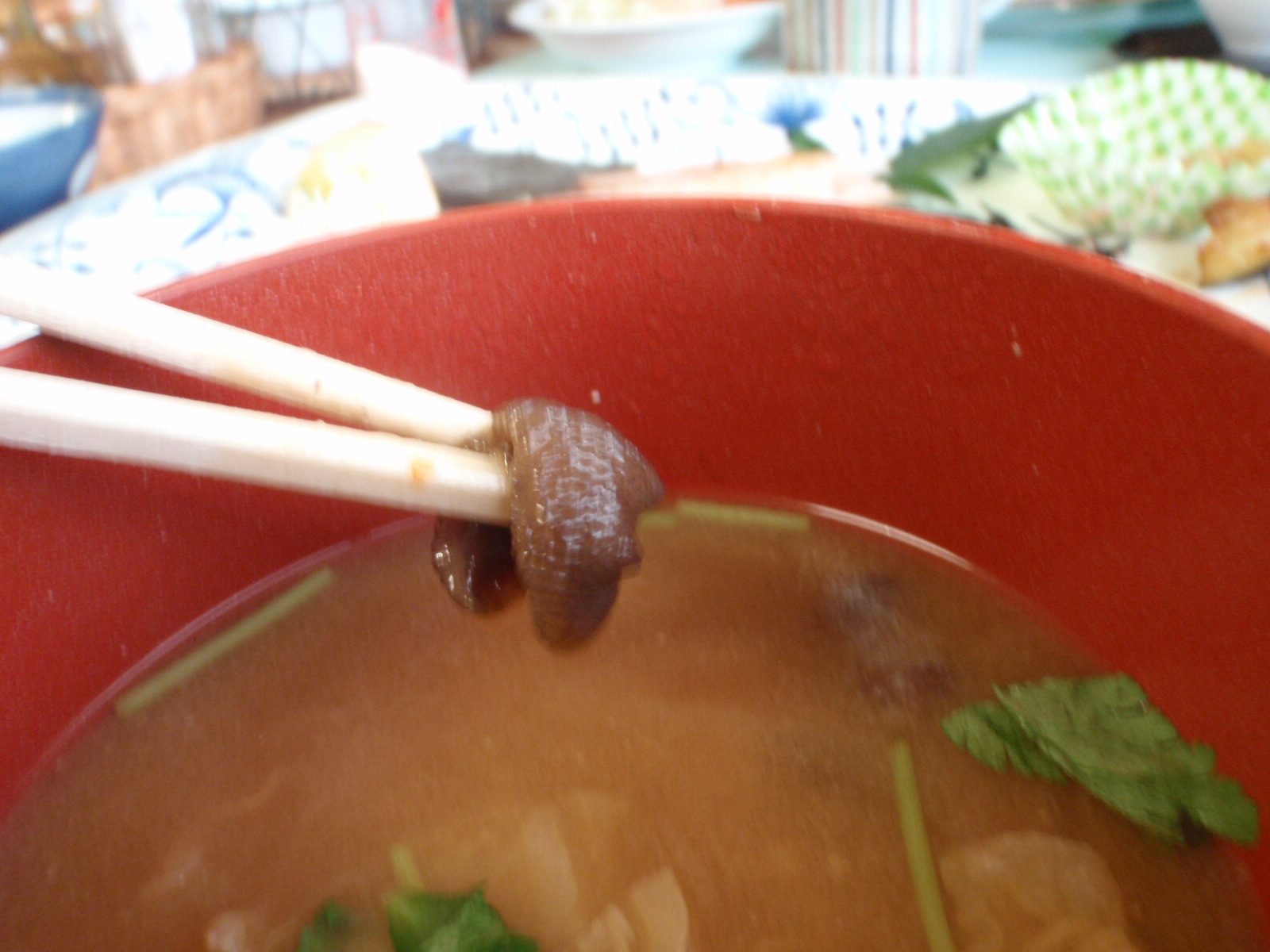 The miso soup had mushrooms the inn keeper had foraged that morning.