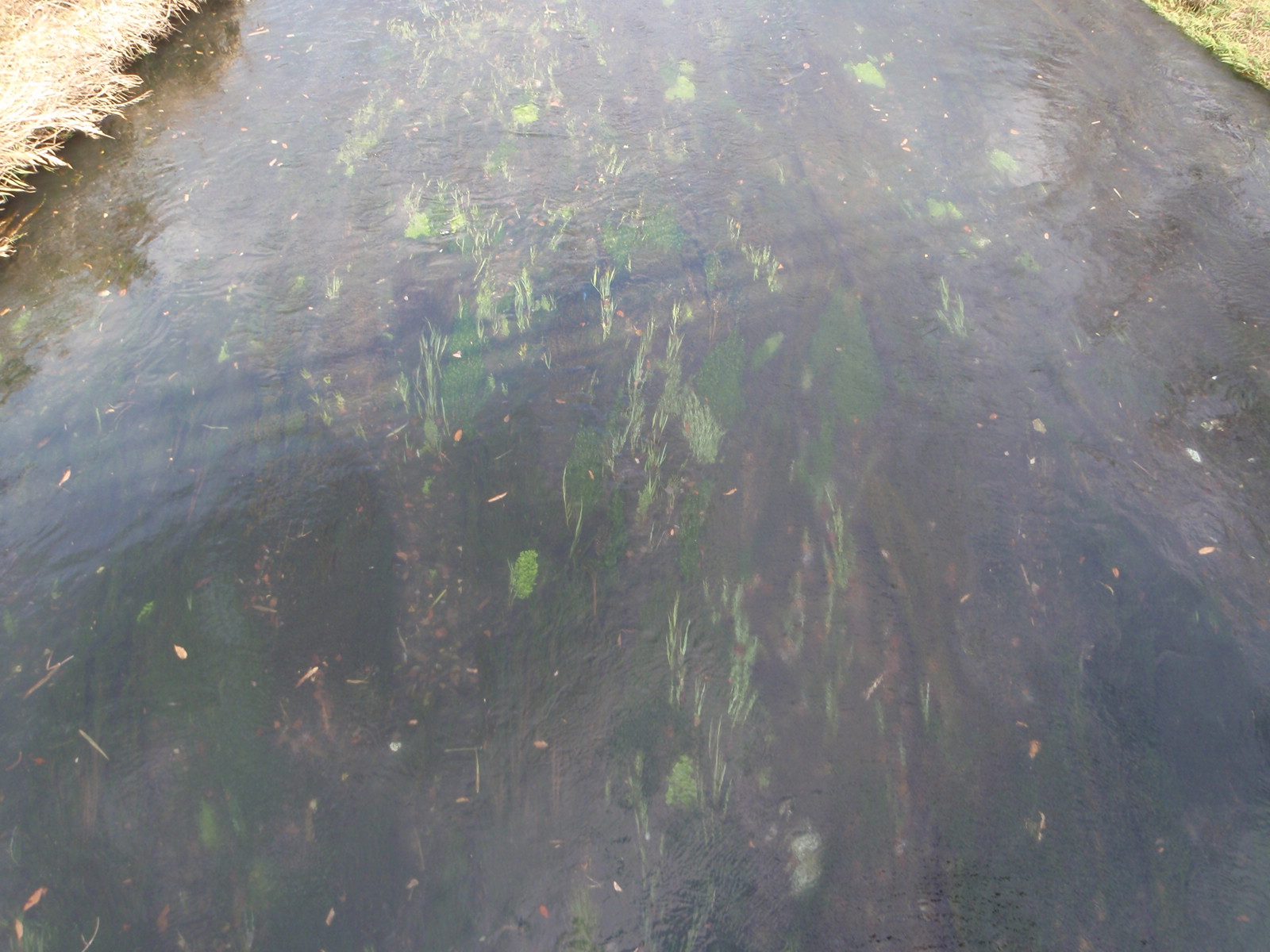 One of the clear-flowing rivers of Hotaka