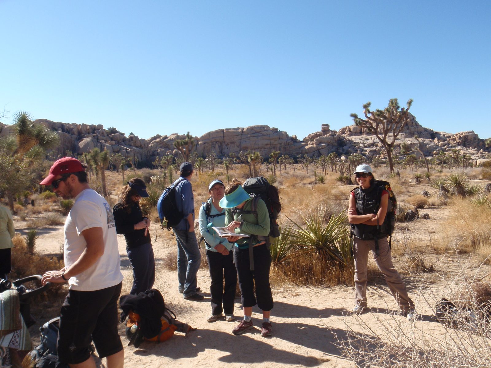 The crew on Thanksgiving at Joshua Tree National Park.