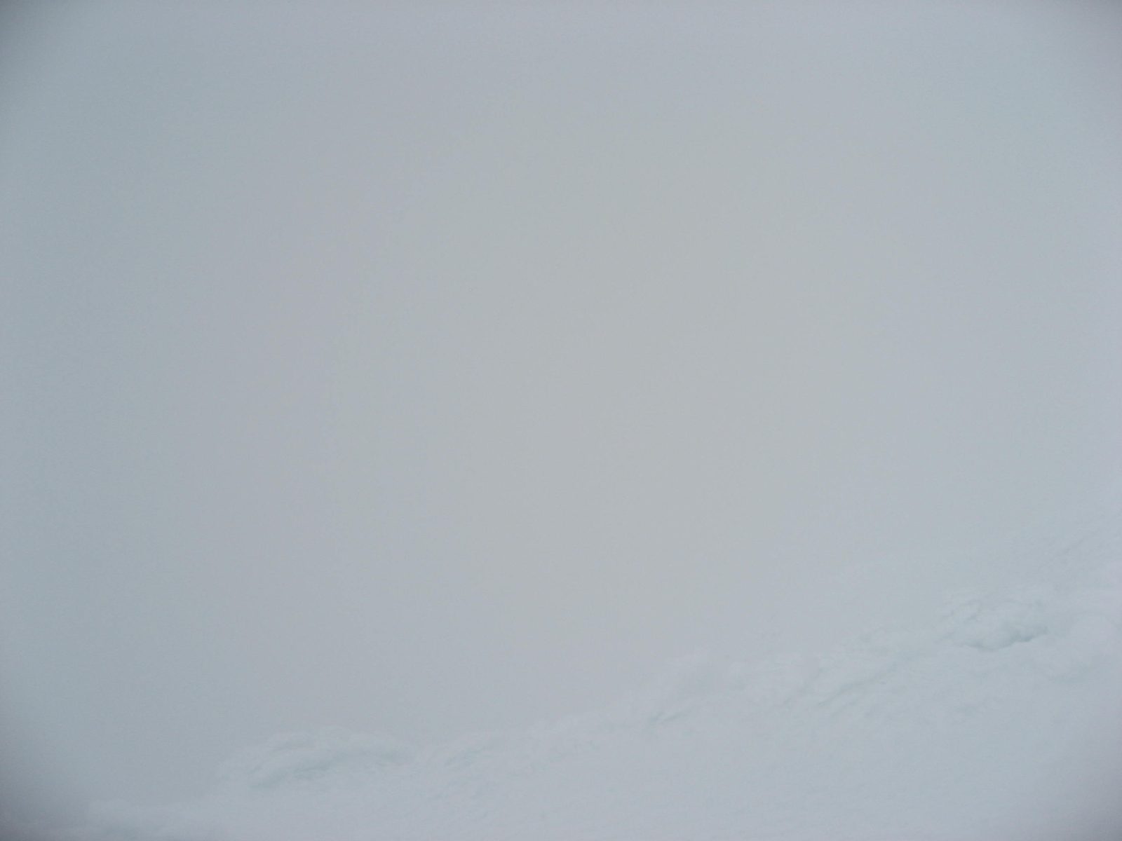 This was the view from the top.