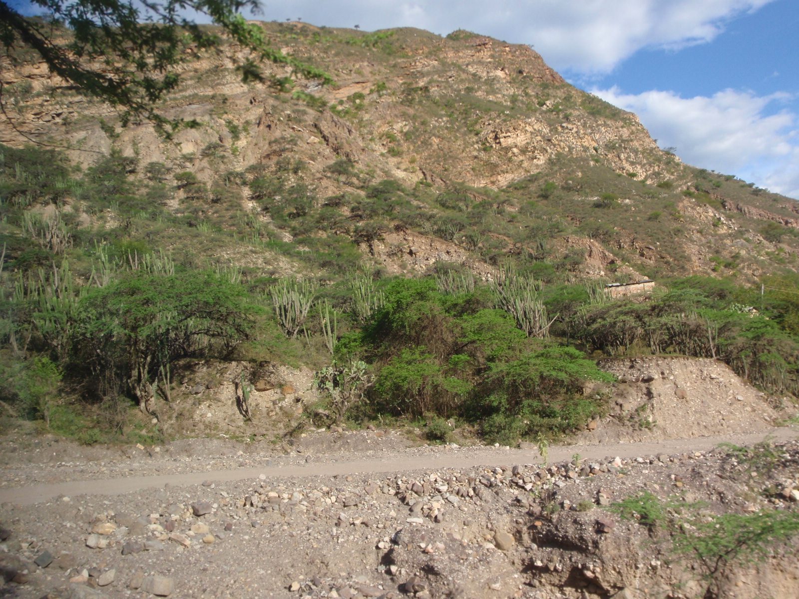 Single-track road for our 40-passenger bus.