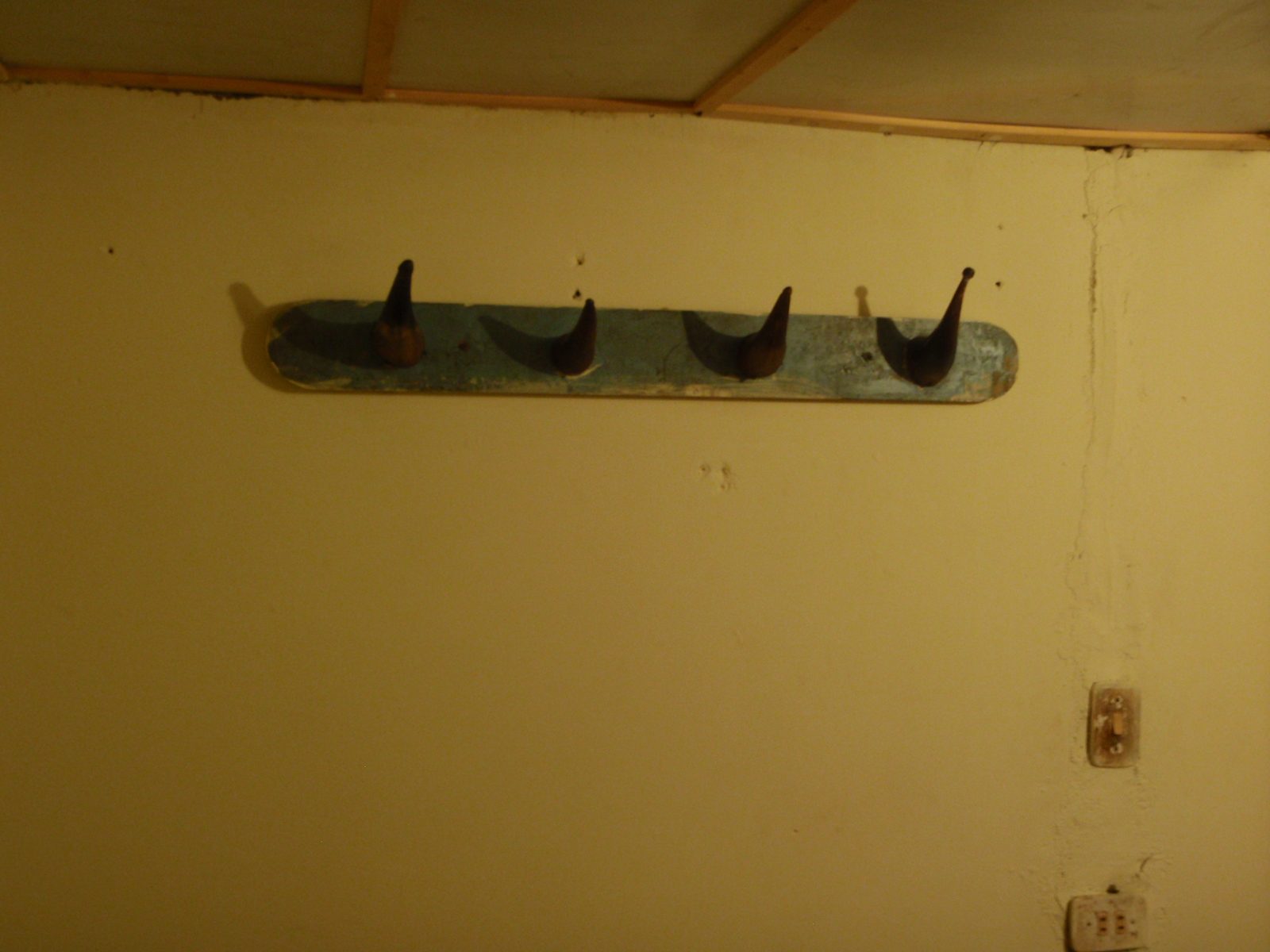 Bull horn coat hook.  Nice touch.
