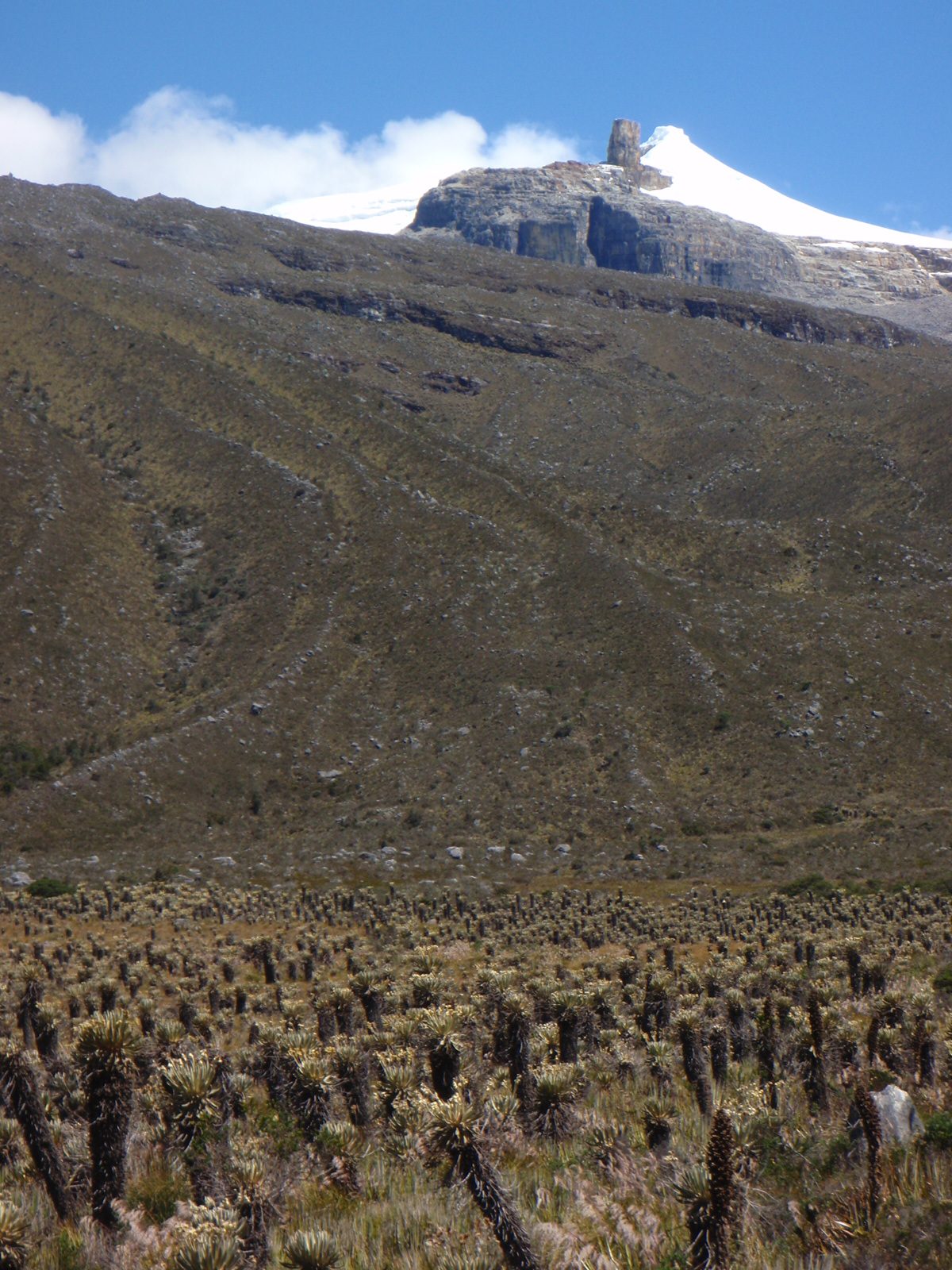 An even better shot of Púlpito Del Diablo and Pan De Azúcar.  The trees in the foreground are...
